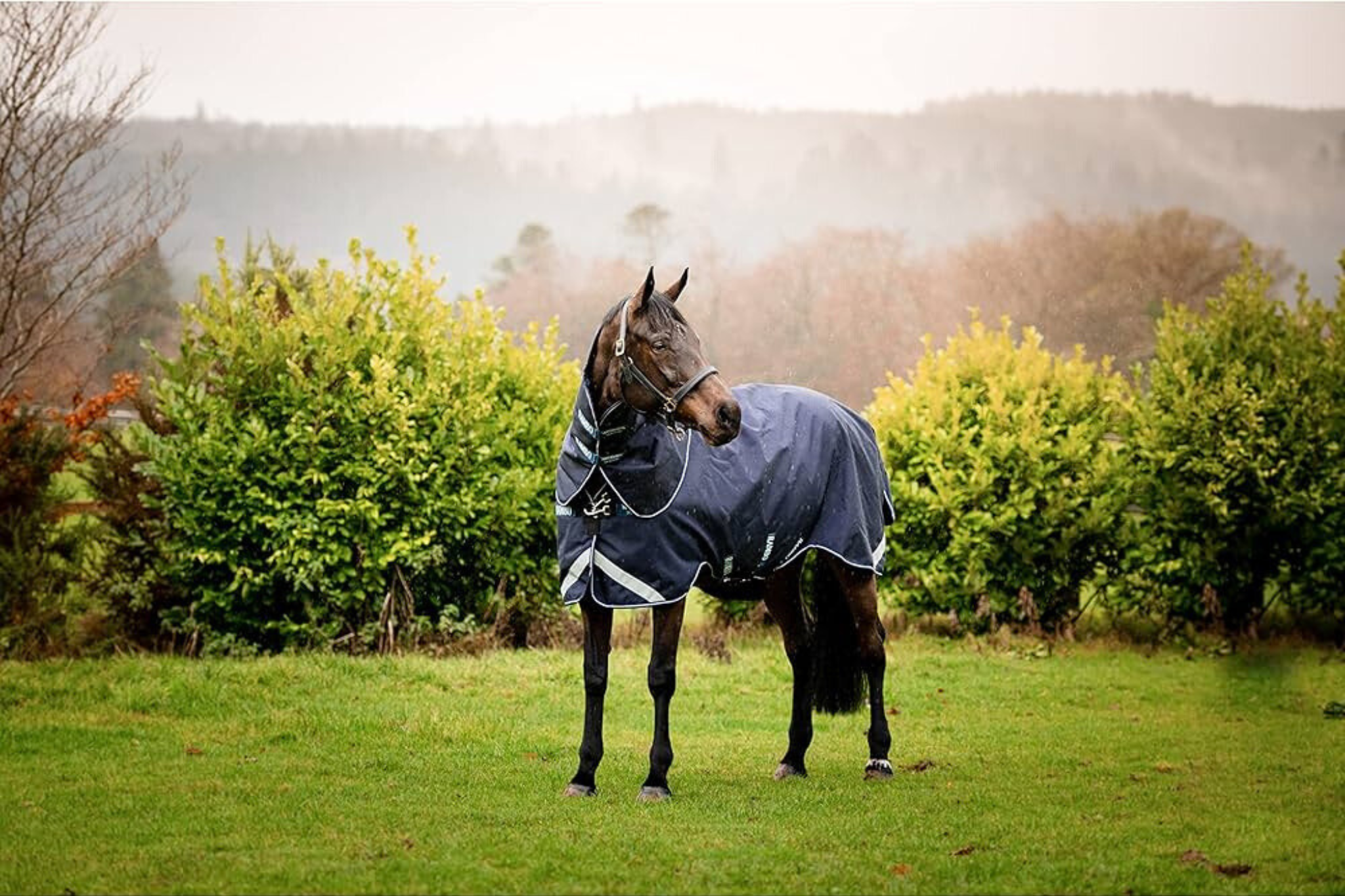 Blanket Cleaning & Repair