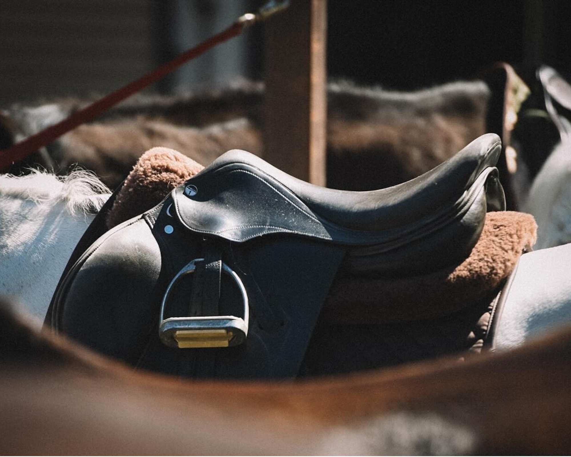 小物 2024 SADDLE PULL UP / TONGUE(EYELET) 小物 2024 SADDLE PULL UP / TONGUE(EYELET) 小物 2024 SADDLE