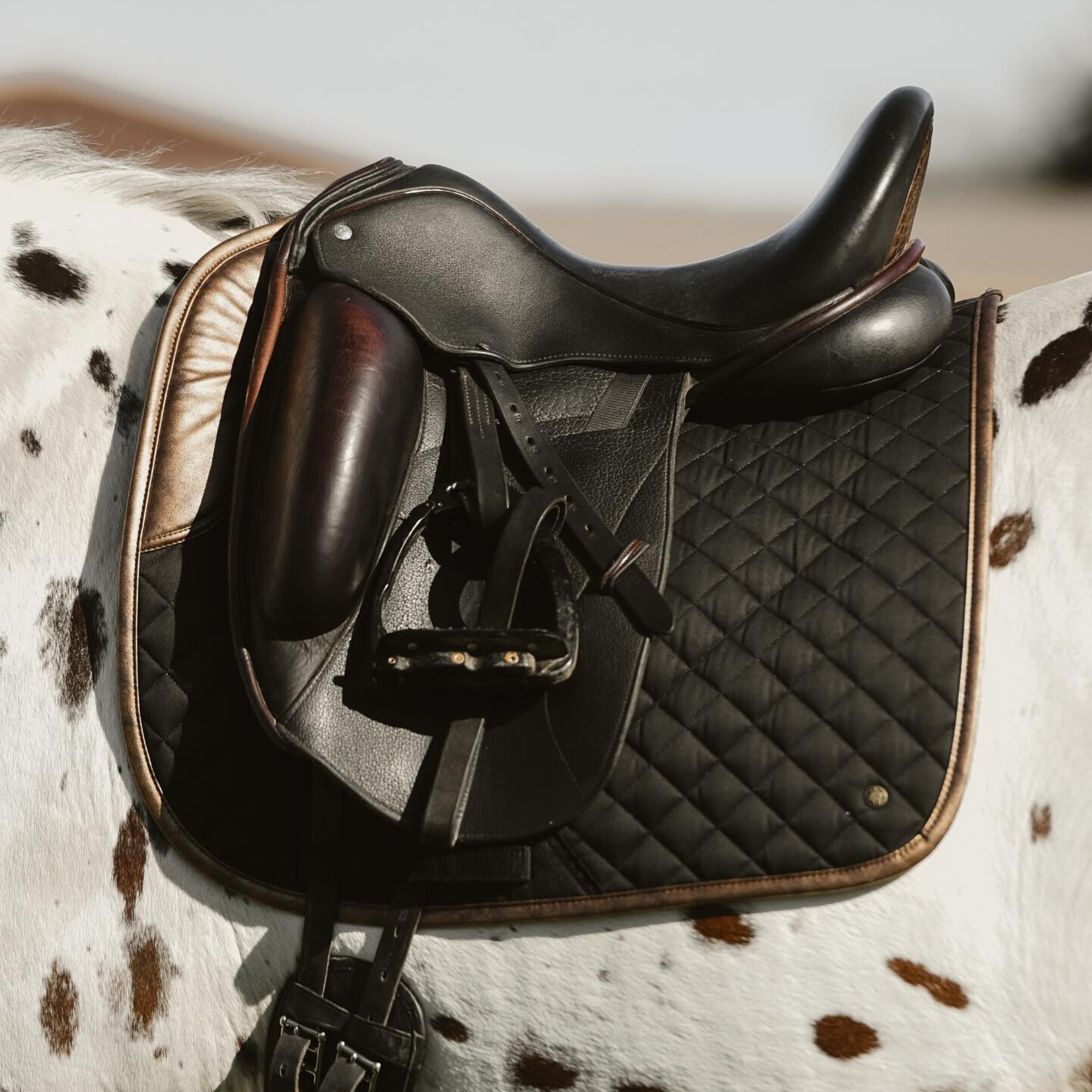 Sixteen Cypress Dressage Pad, Black & Gold Leaf