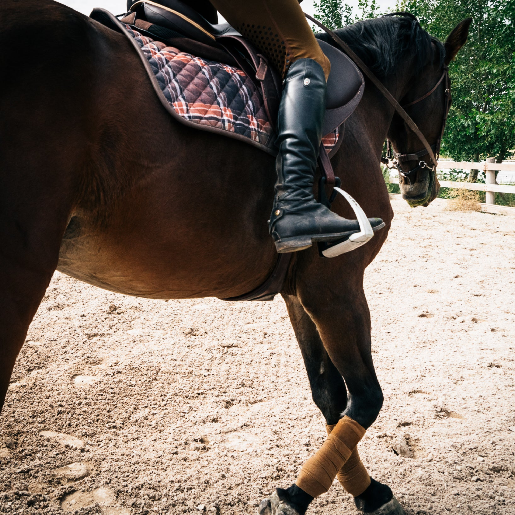Sixteen Cypress Jumper Pad, Field Plaid & Hickory