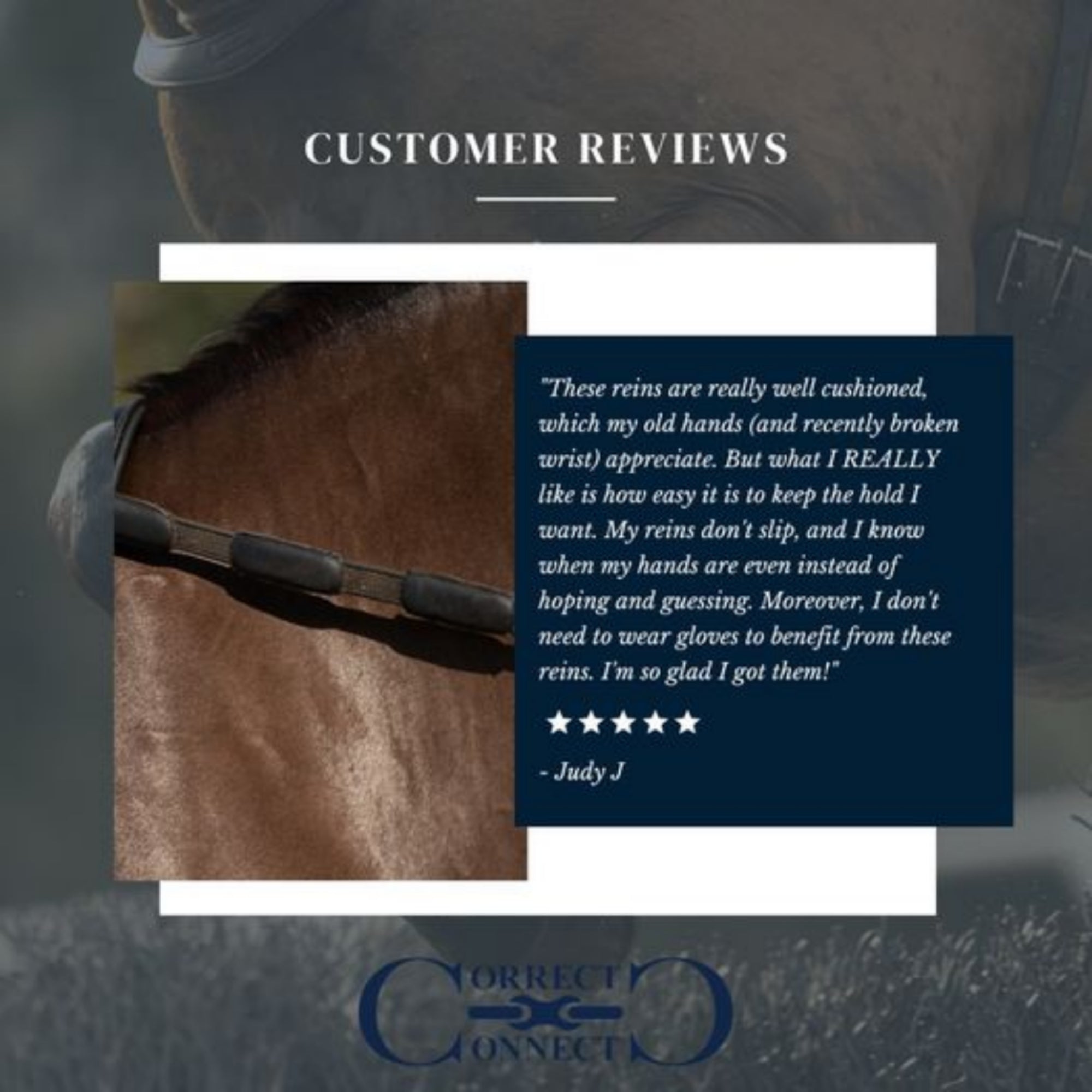 A customer review praising the correct connect reins. five star review.