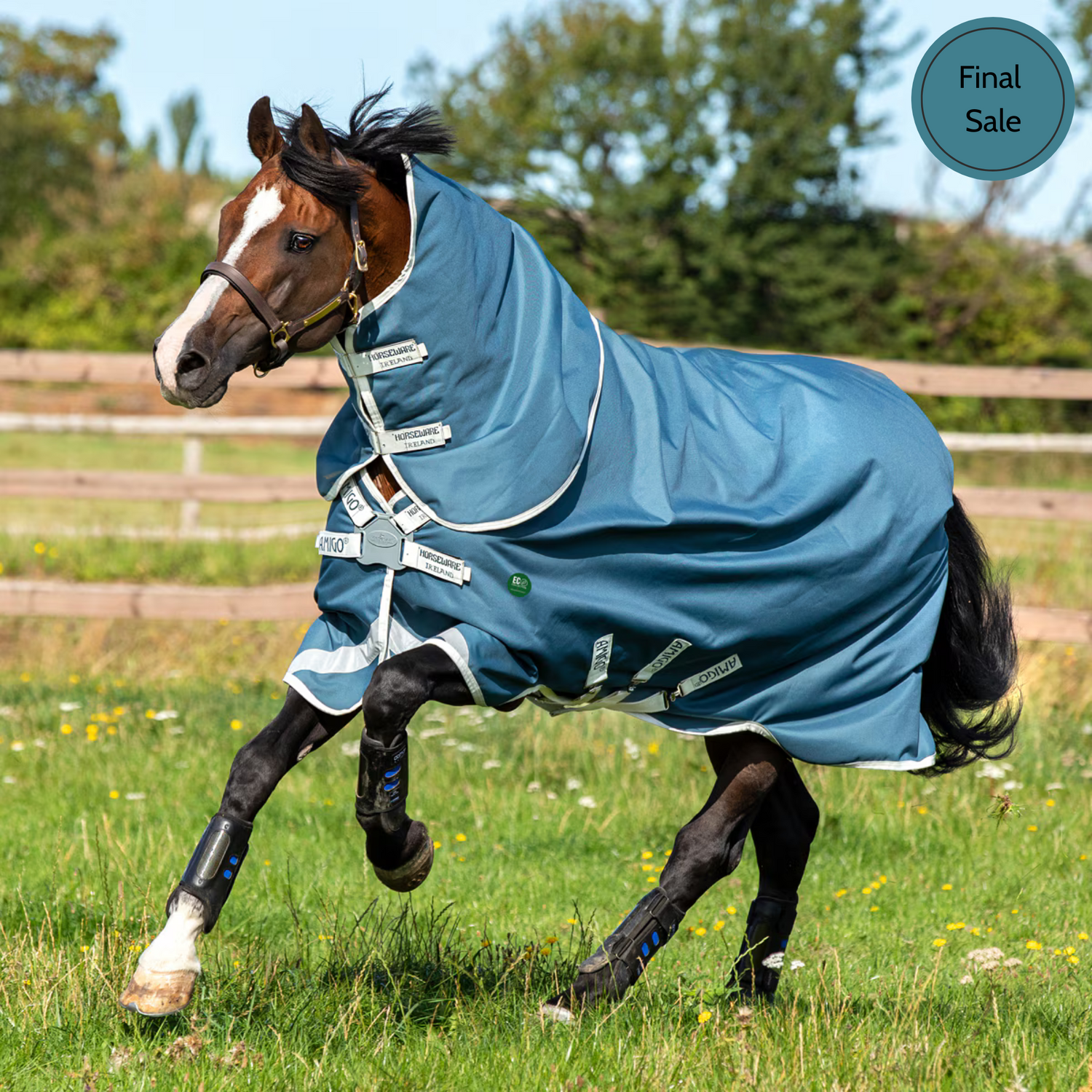 Amigo® AmECO 12 Plus Turnout,  0gm Lite