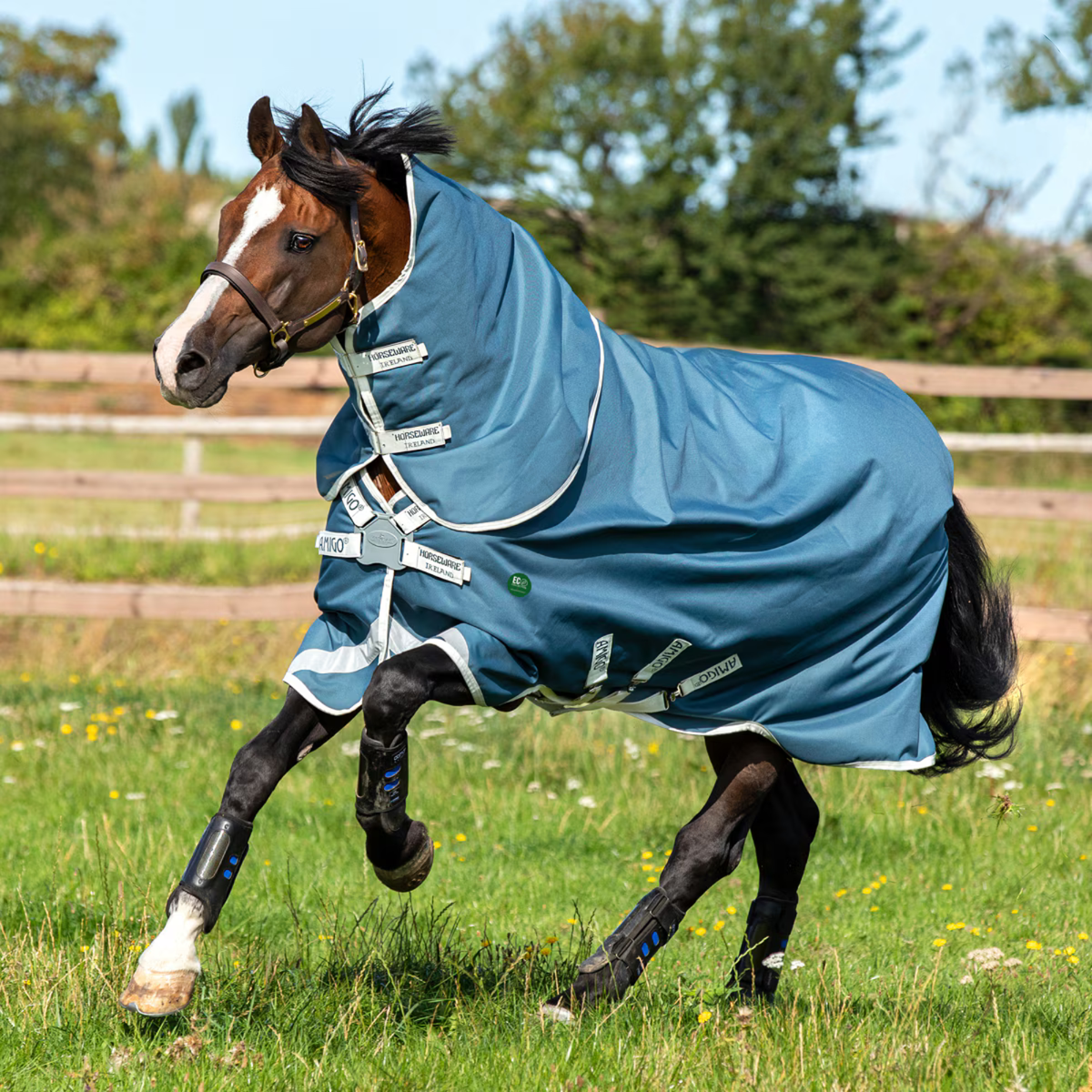Amigo® AmECO 12 Plus Turnout, 0gm Lite