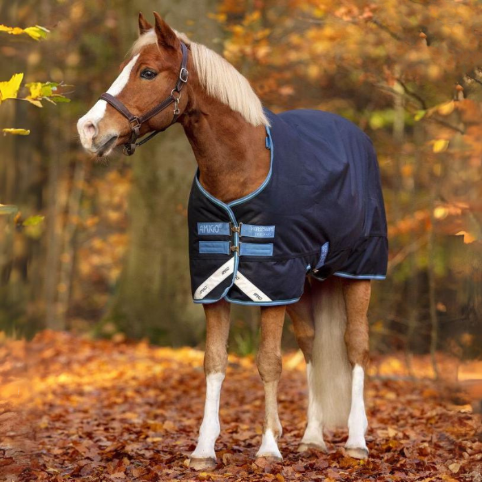 Amigo Bravo 12 Pony Turnout, 250gm Medium