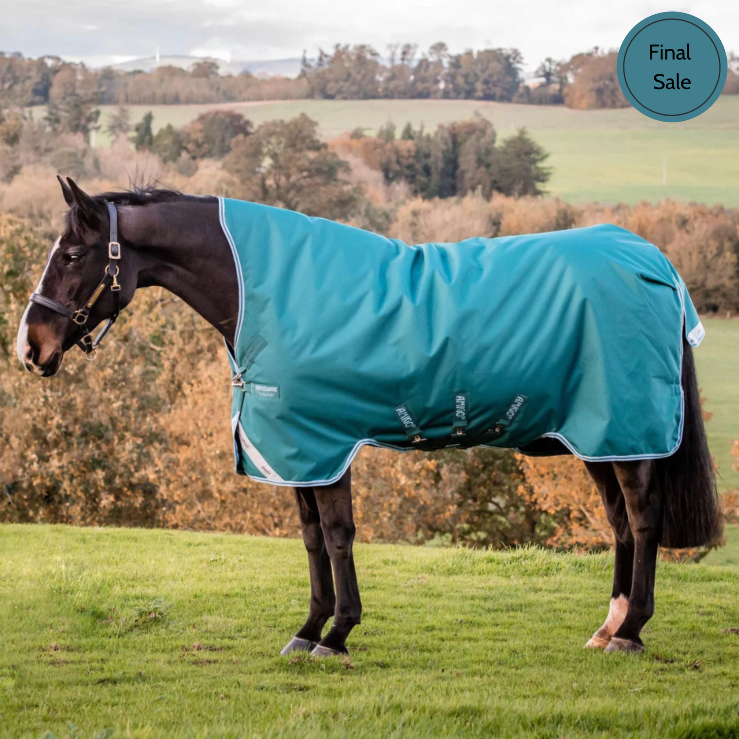 Amigo Bravo 12 Wug Turnout,  0gm Lite