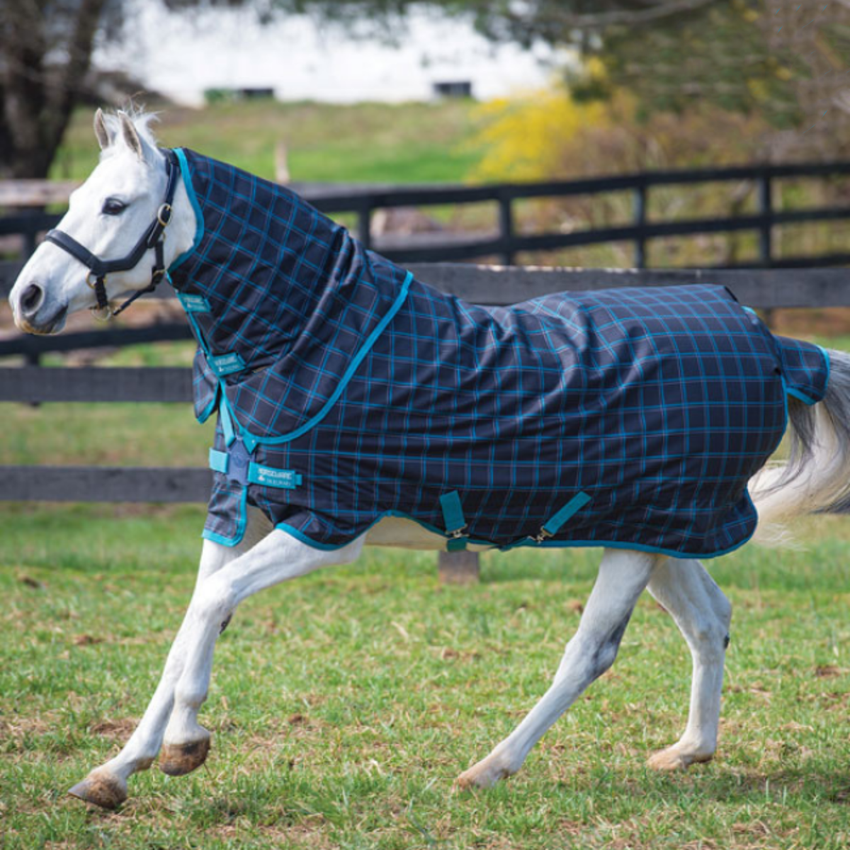 Amigo Pony Plus Turnout, 50gm Lite
