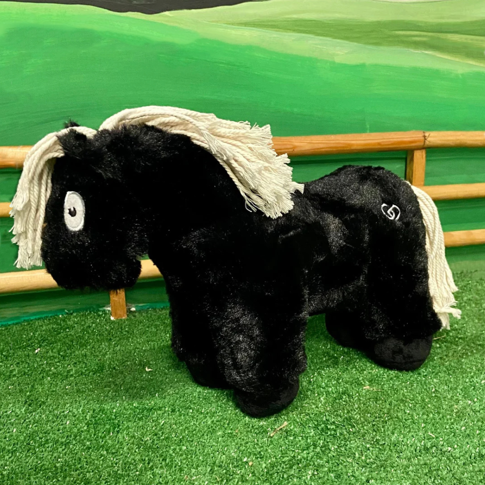 Crafty Pony Foal