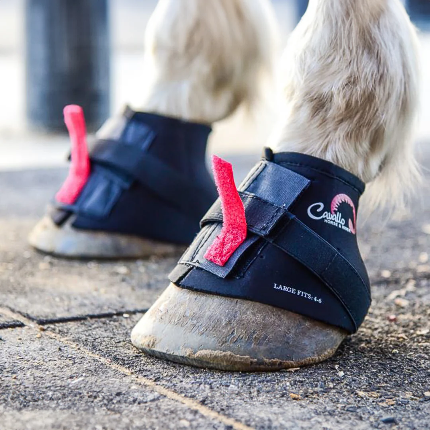 A pair of Black Cavallo Pastern wraps.
