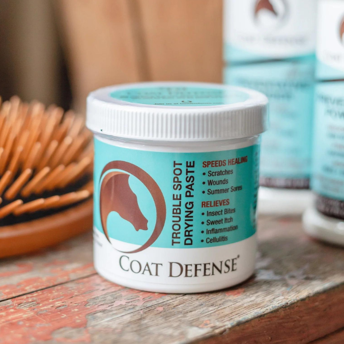 Coat Defense Trouble Spot Drying Paste, 24 oz