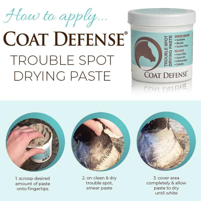 Coat Defense Trouble Spot Drying Paste, 24 oz