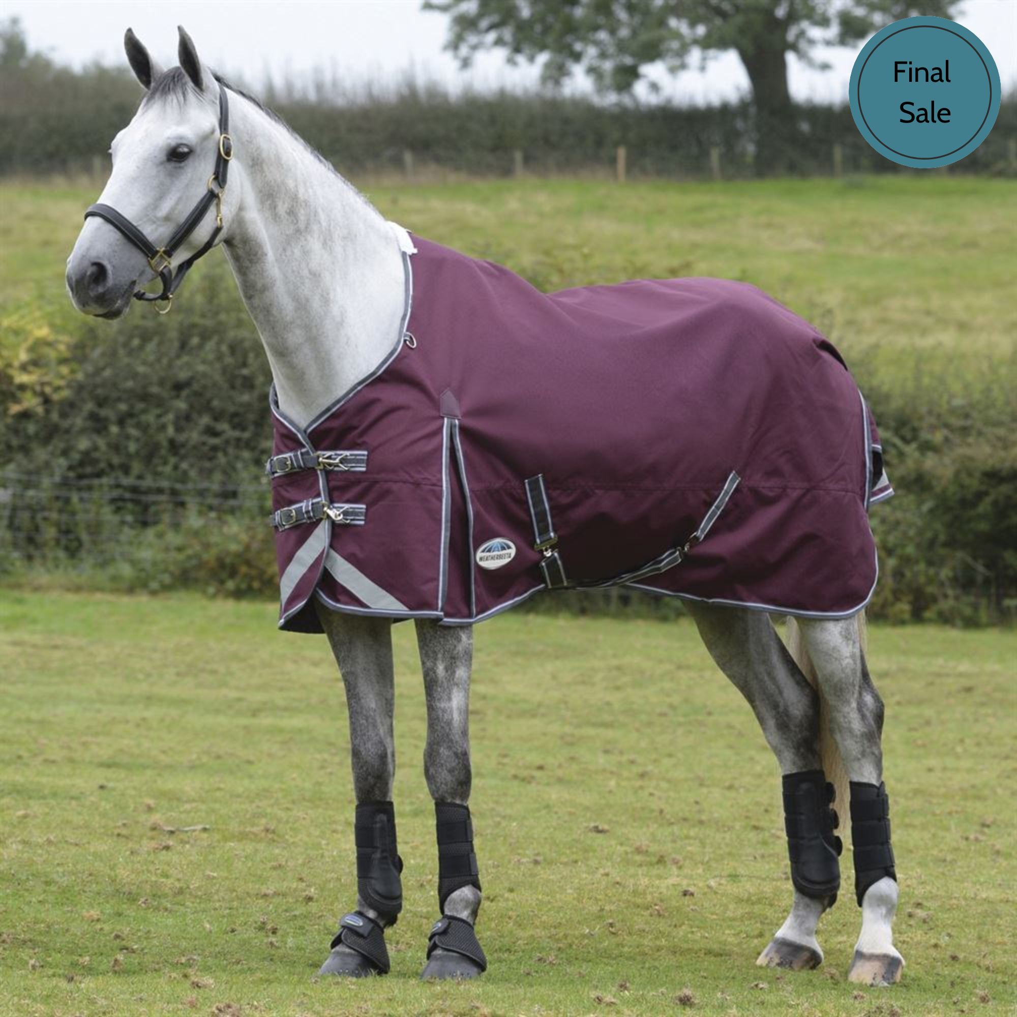 WeatherBeeta ComFiTec Plus Dynamic II, Standard Neck 100 Grams