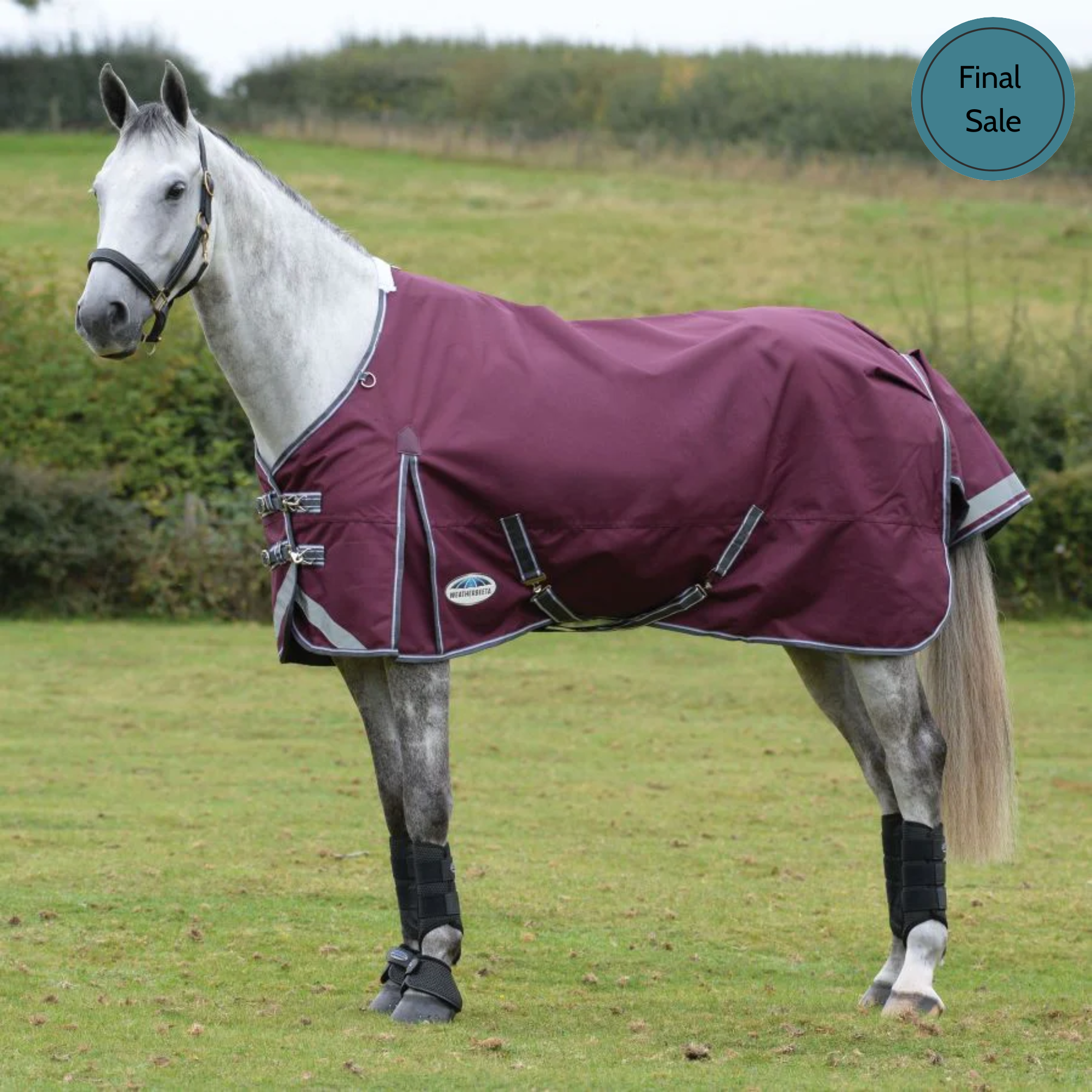 WeatherBeeta ComFiTec Plus Dynamic II Standard Neck, Lite