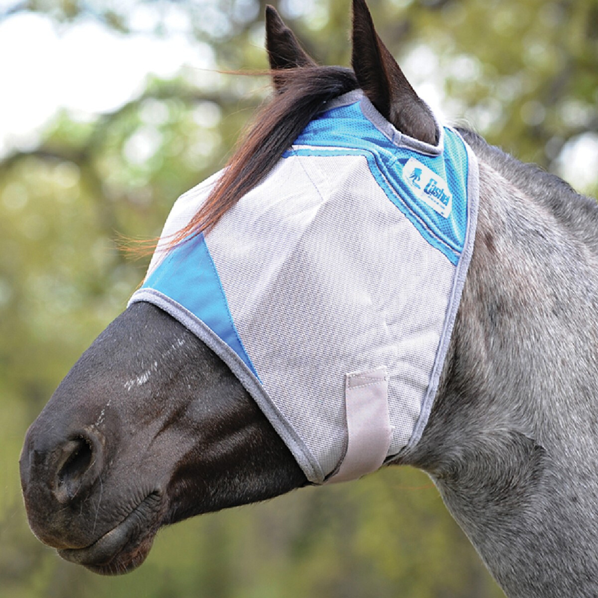Crusader Standard Fly Mask, Blue