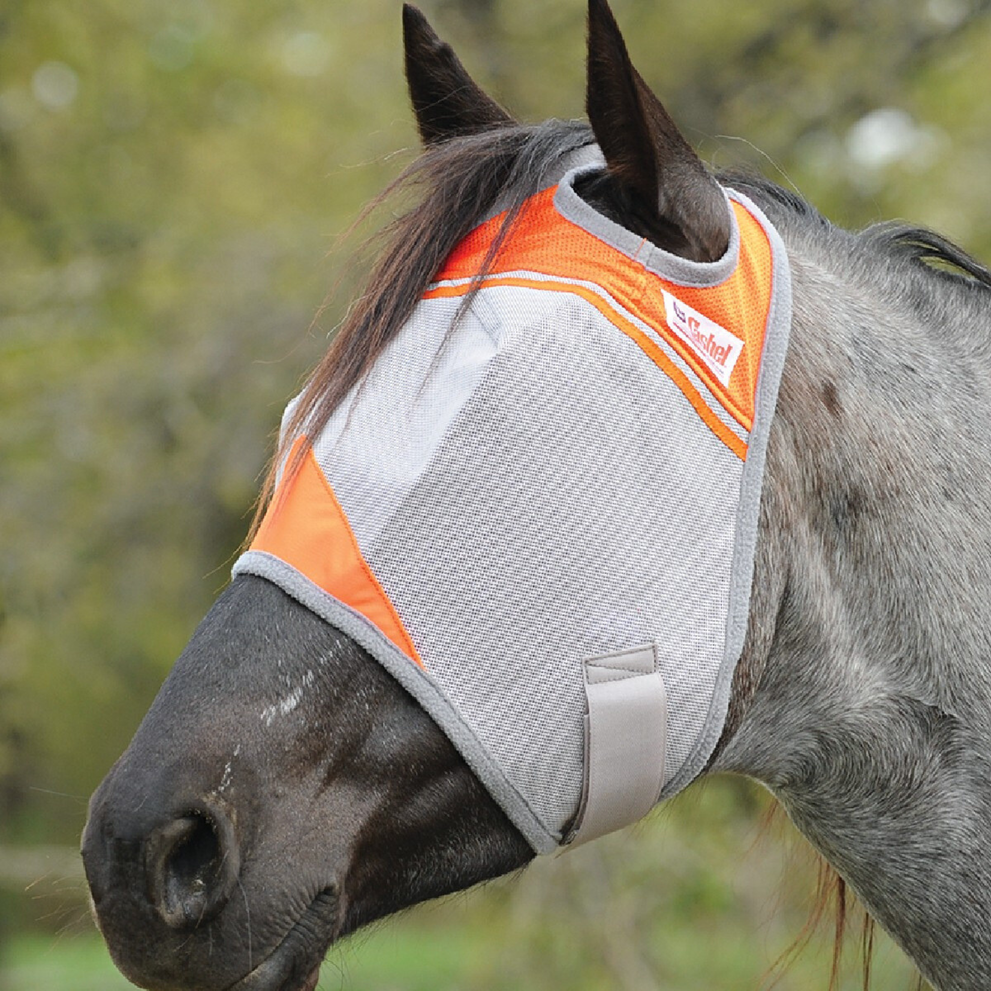 Crusader Standard Fly Mask, Orange