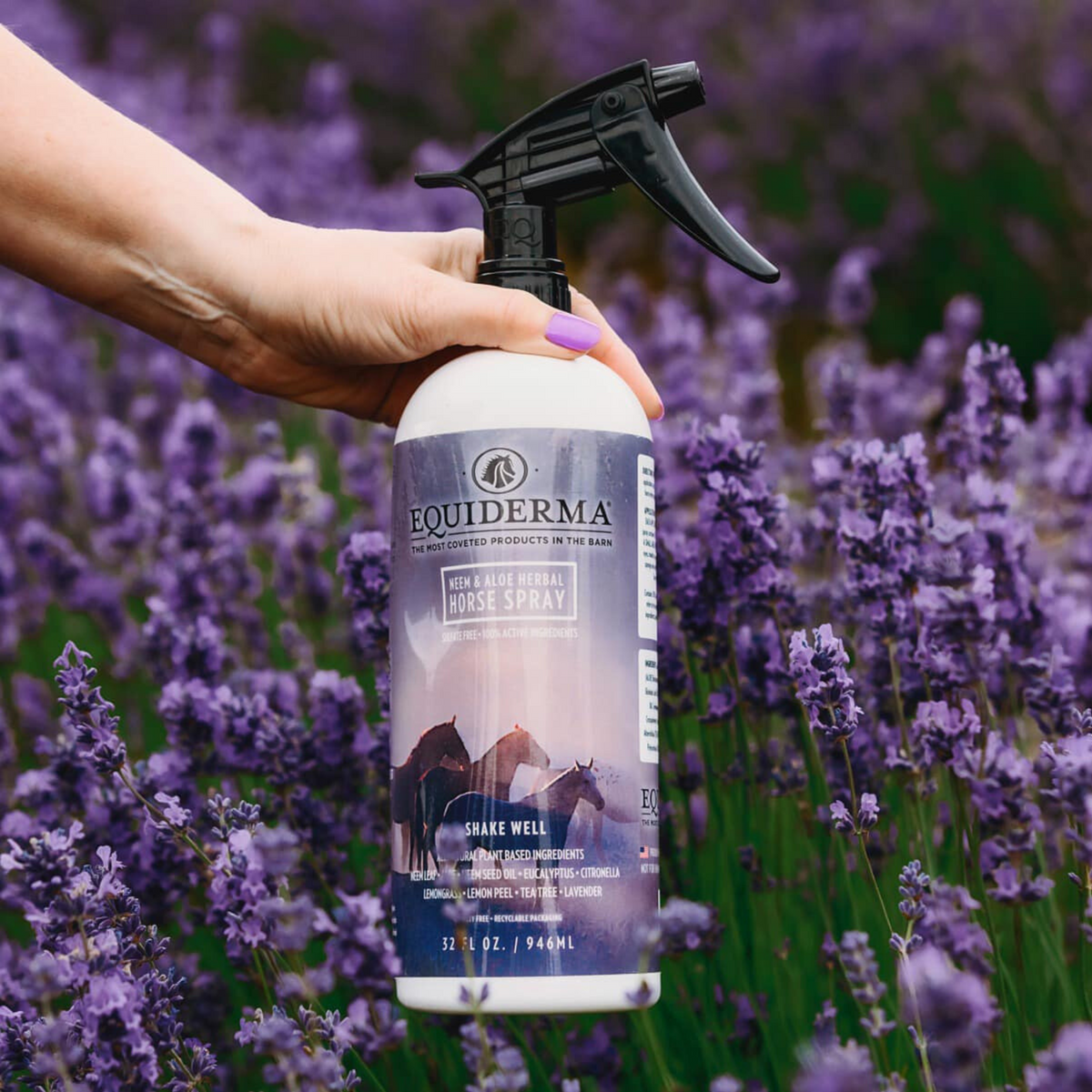 Equiderma Neem & Aloe Herbal Horse Spray
