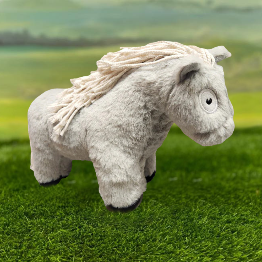 Crafty Pony Foal