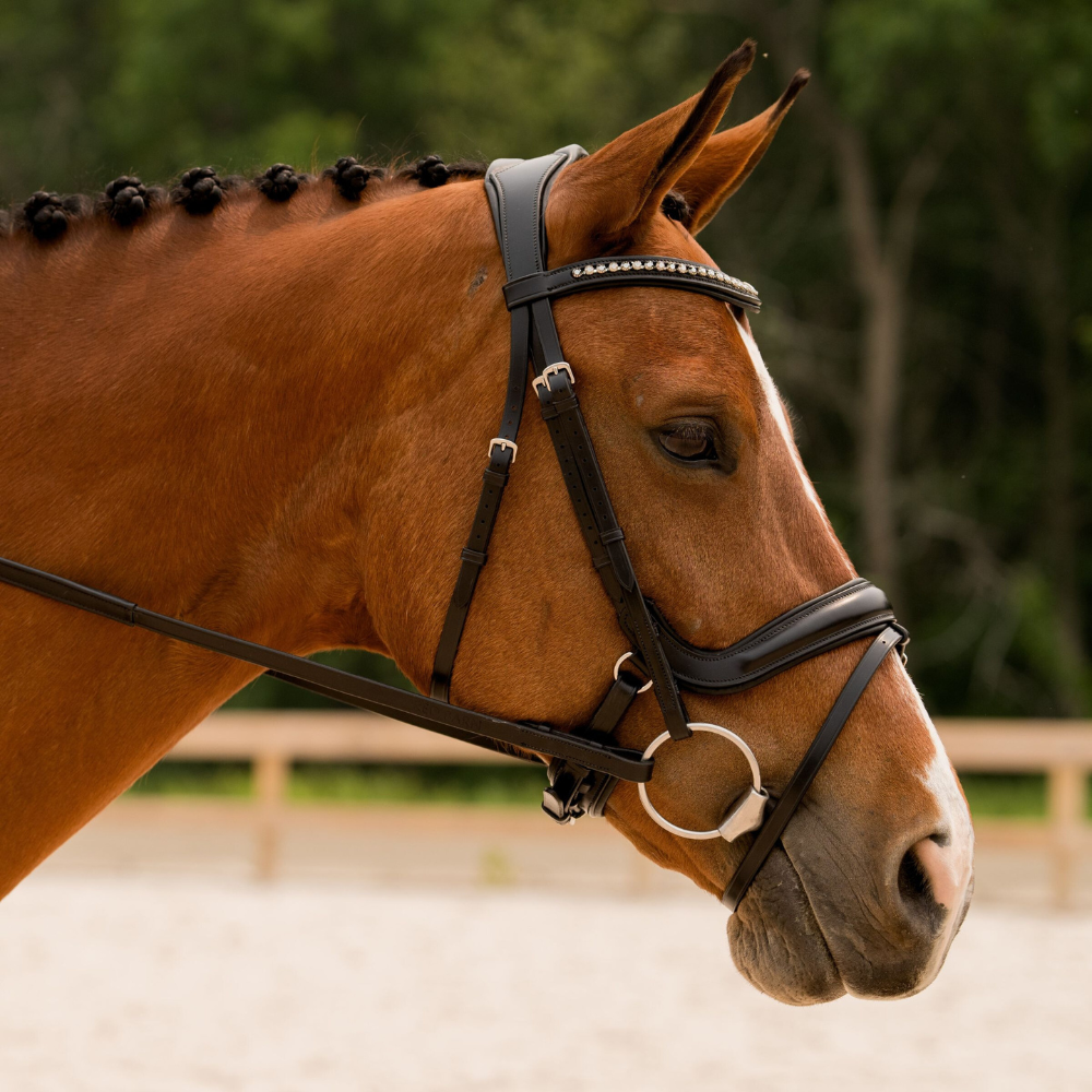 KL Select Impulsion Dressage Bridle