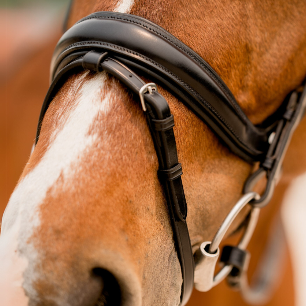 KL Select Impulsion Dressage Bridle