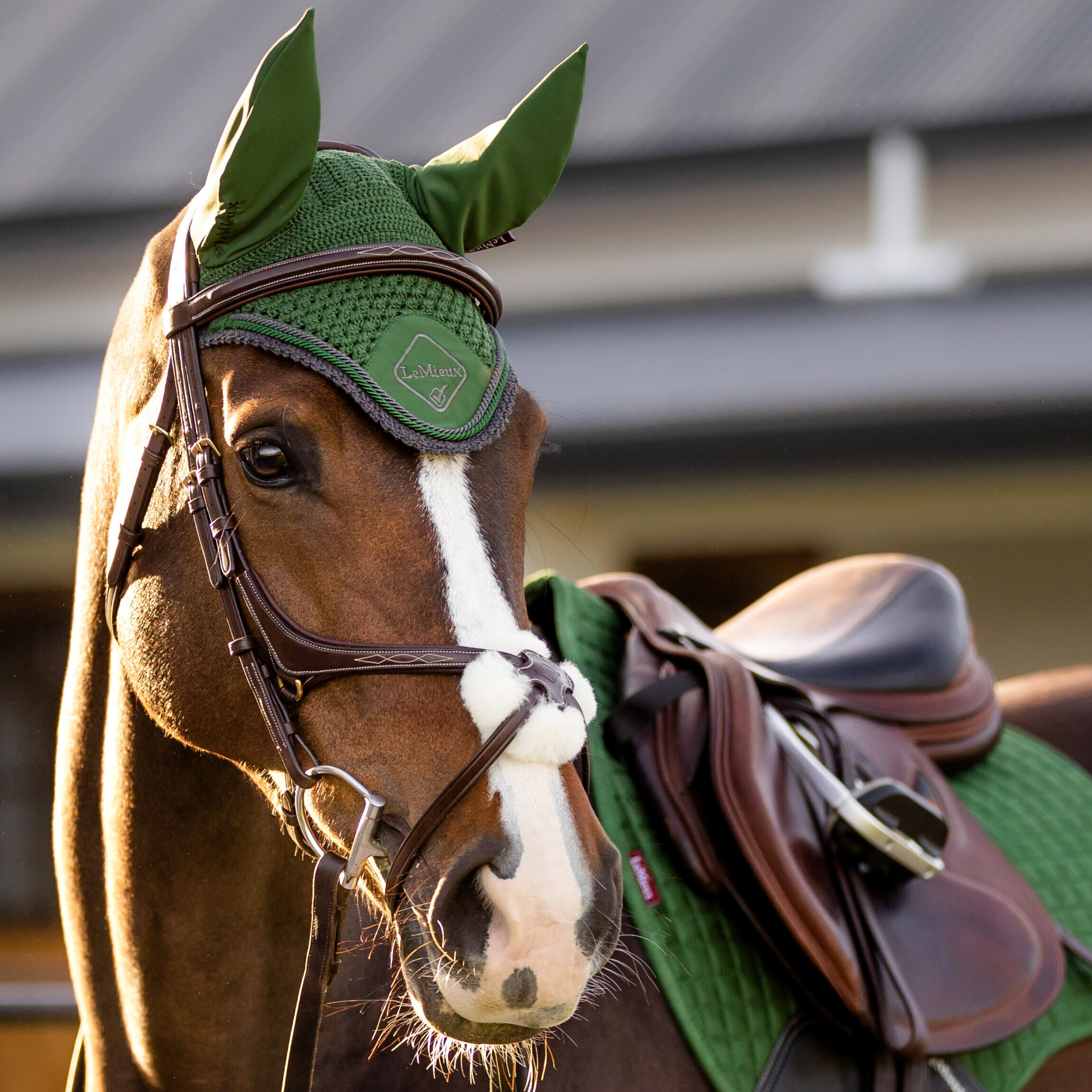 LeMieux Classic Ear Bonnet, Hunter Green