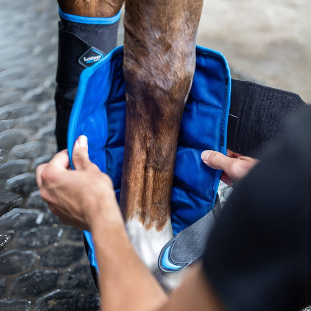 LeMieux Freeze Flow Front Ice Boot, Lifestyle Image Showing Application