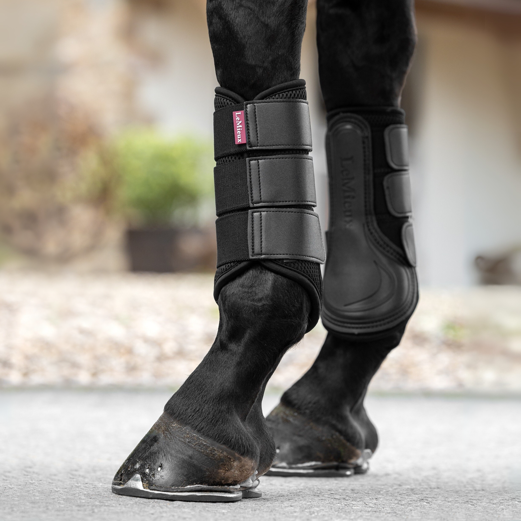 LeMieux Mesh Brushing Boots, Black
