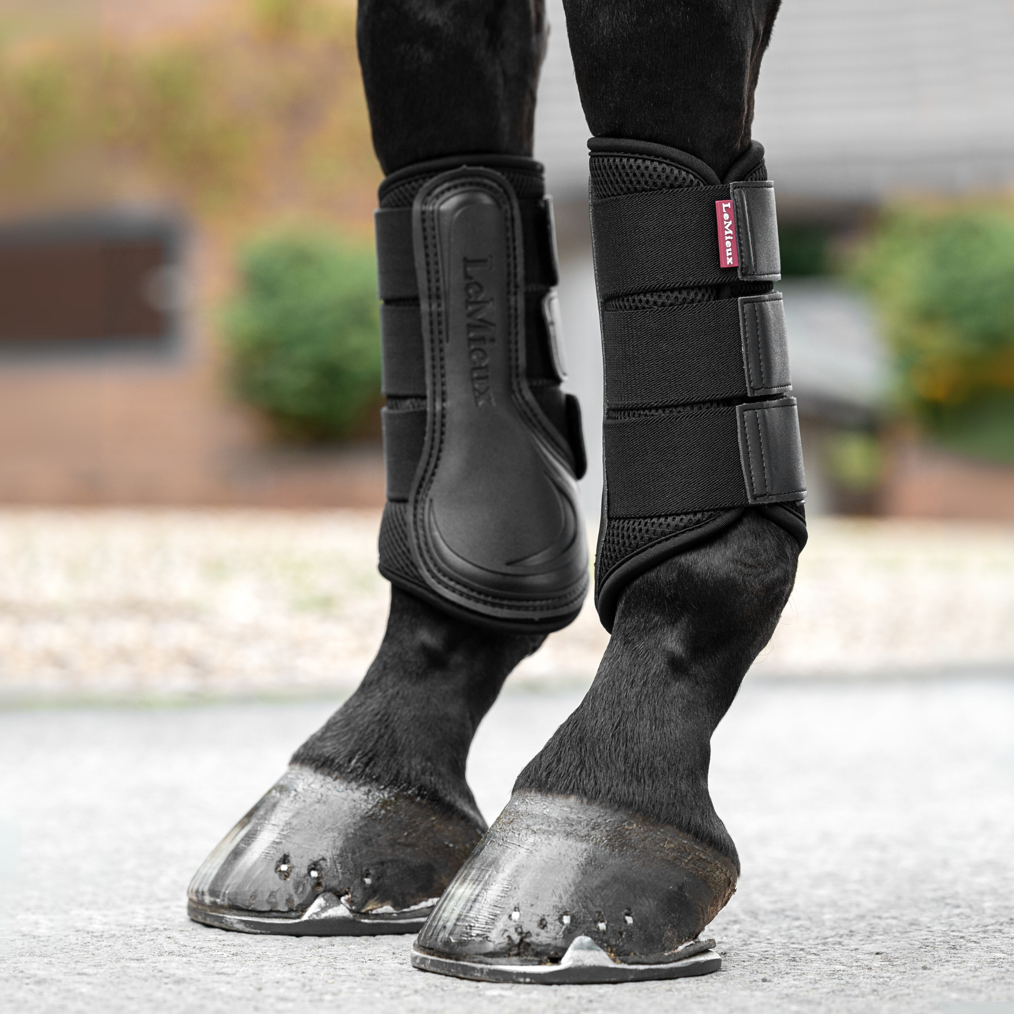 LeMieux Mesh Brushing Boots, Black