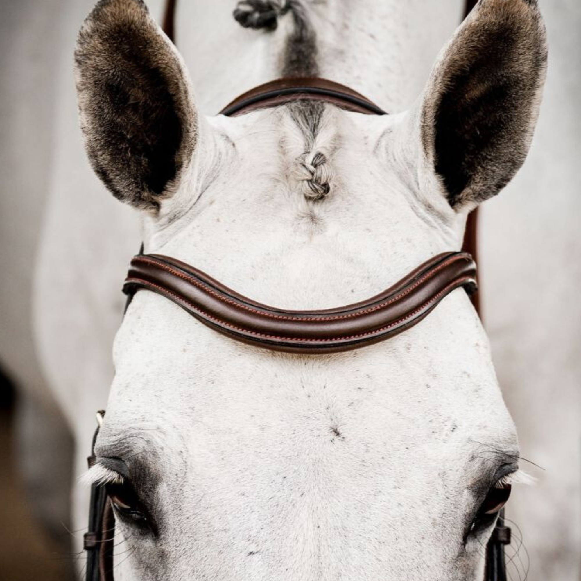 Rambo Micklem 2 Deluxe Competition Bridle