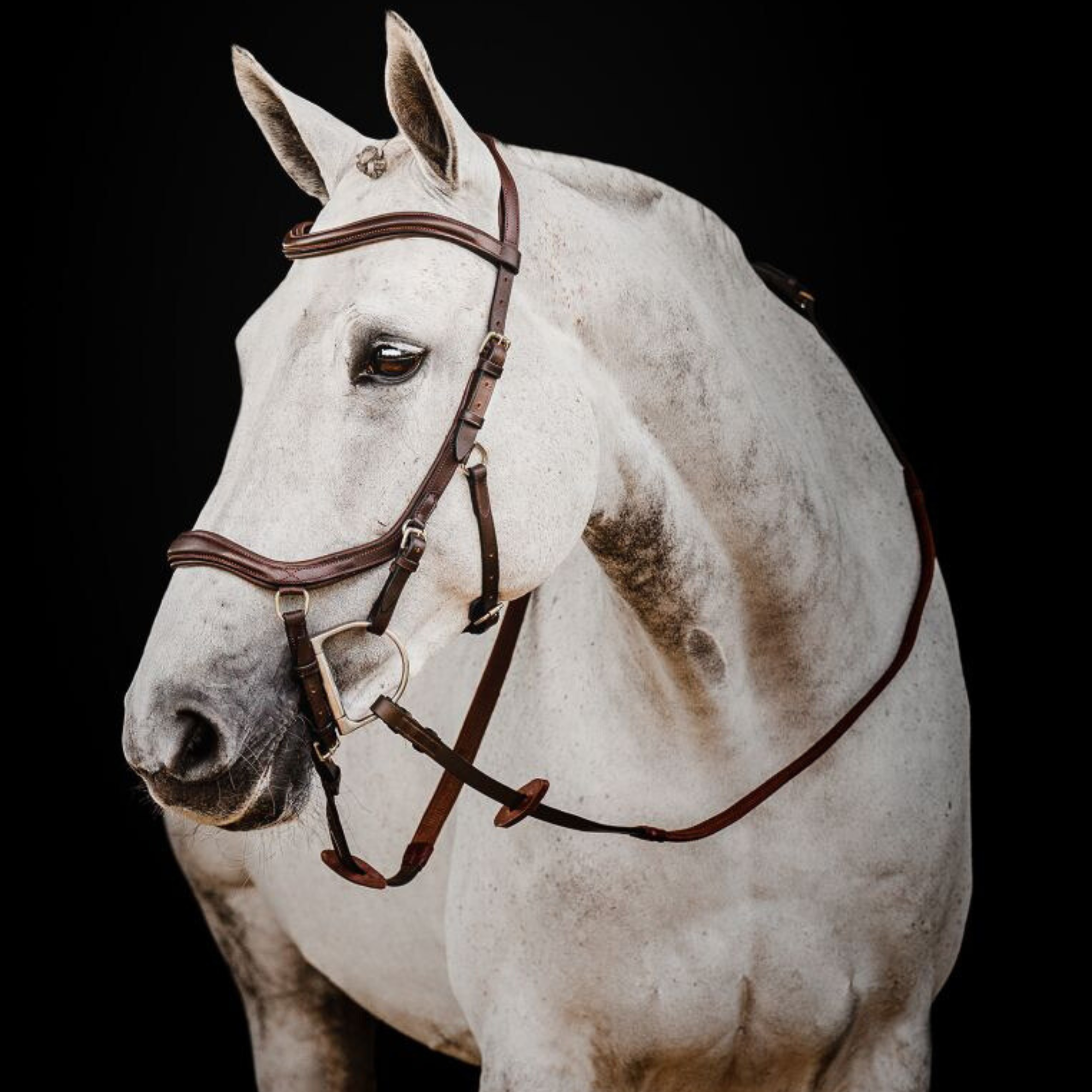 Rambo Micklem 2 Deluxe Competition Bridle