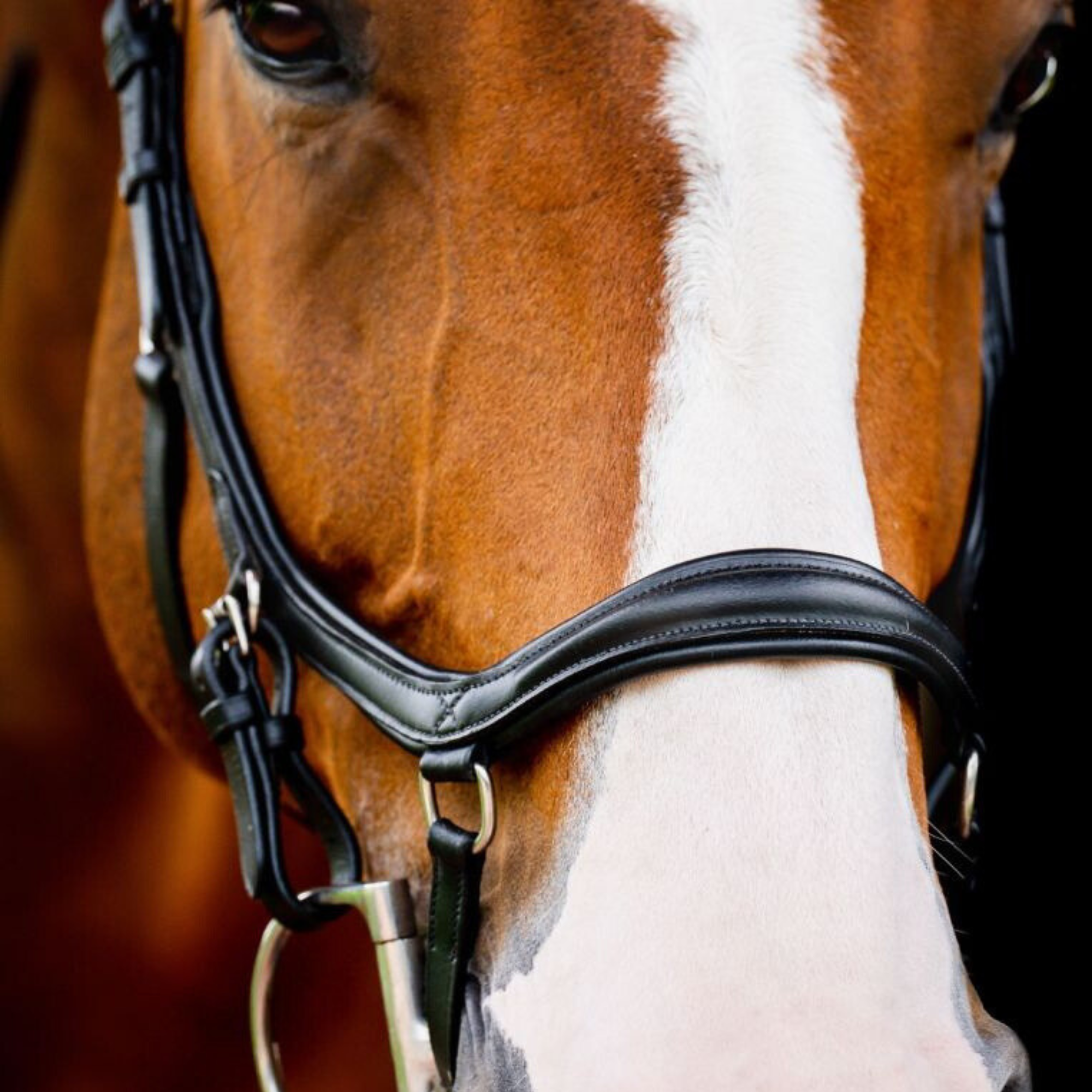 Rambo Micklem 2 Deluxe Competition Bridle