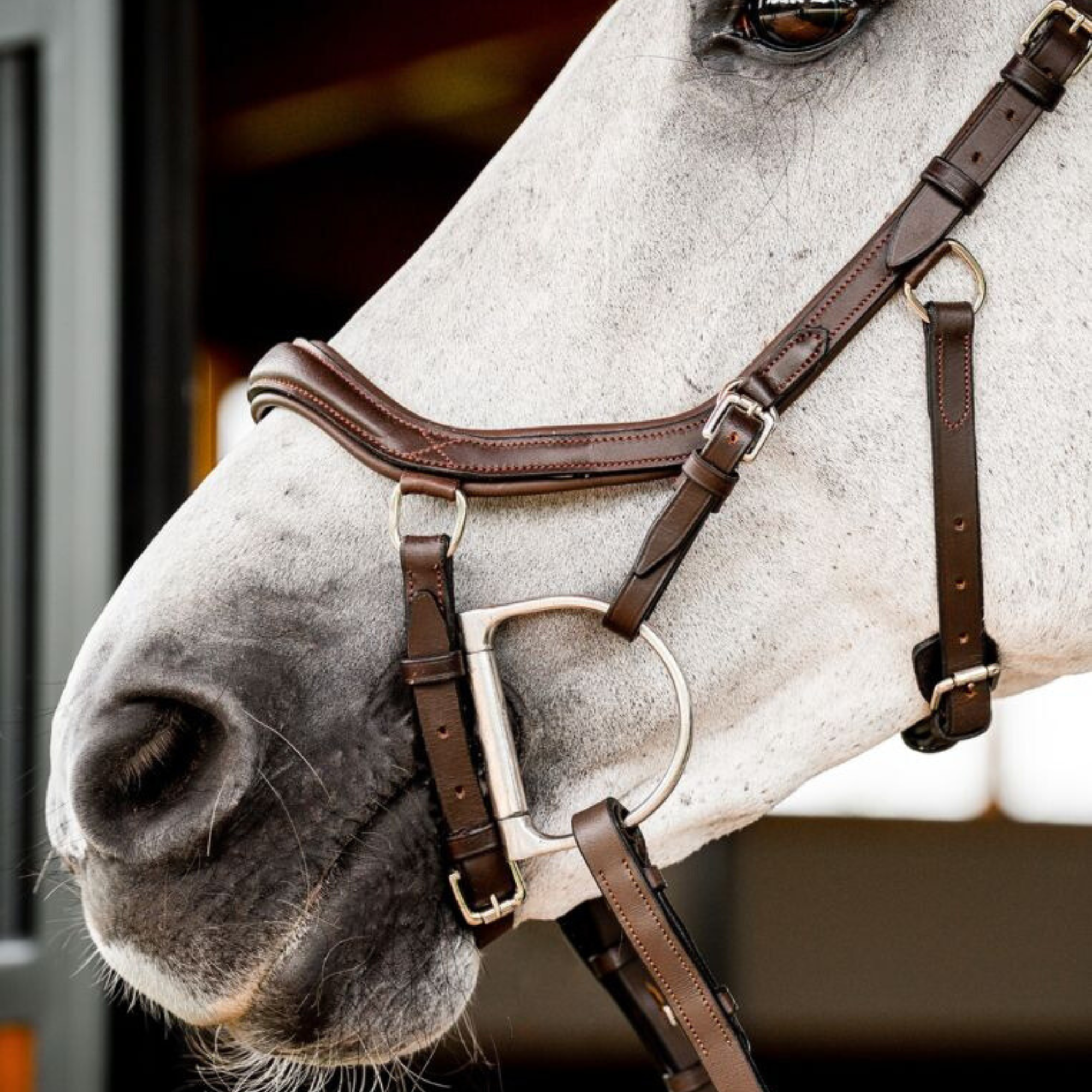 Rambo Micklem 2 Deluxe Competition Bridle