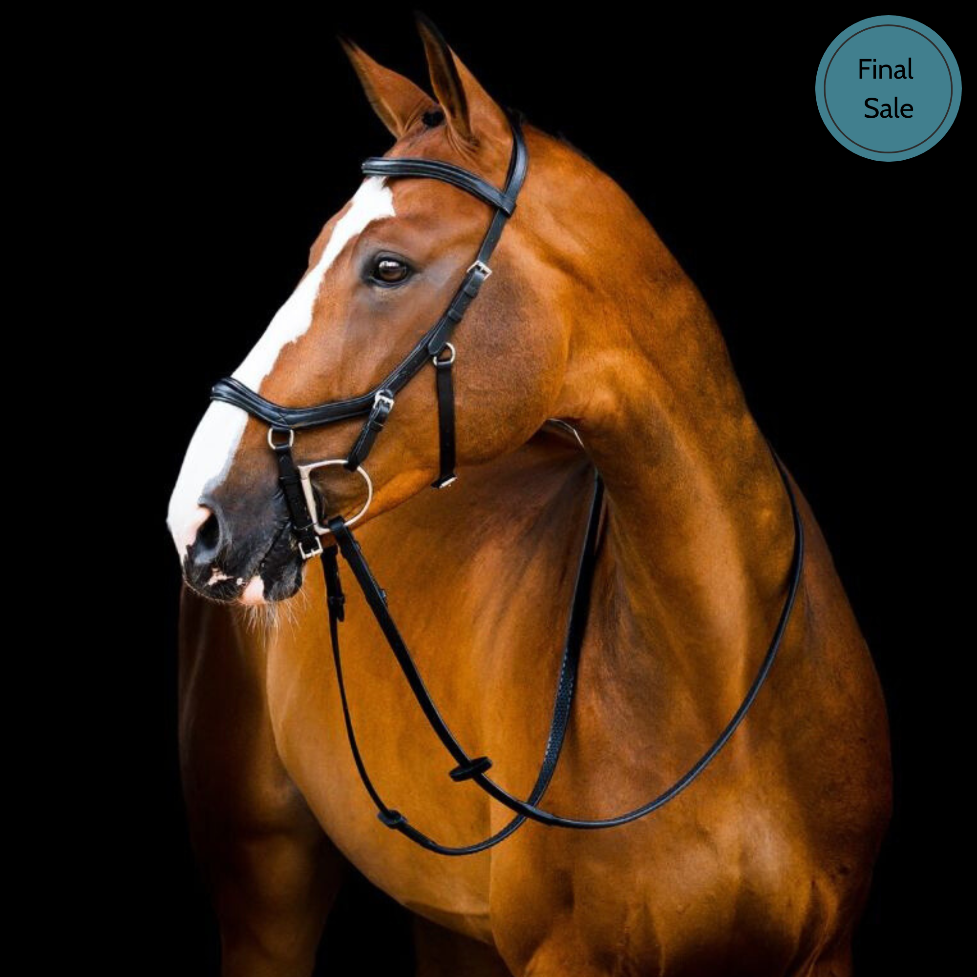 Rambo Micklem 2 Deluxe Competition Bridle
