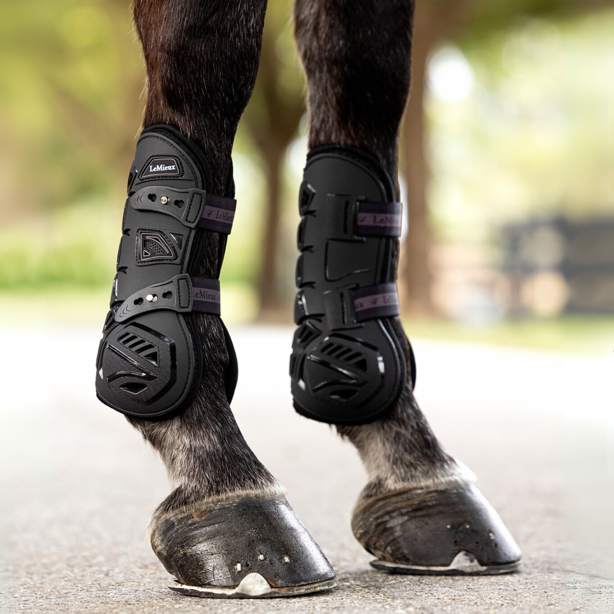 LeMieux Motioncool Tendon Boots, Black