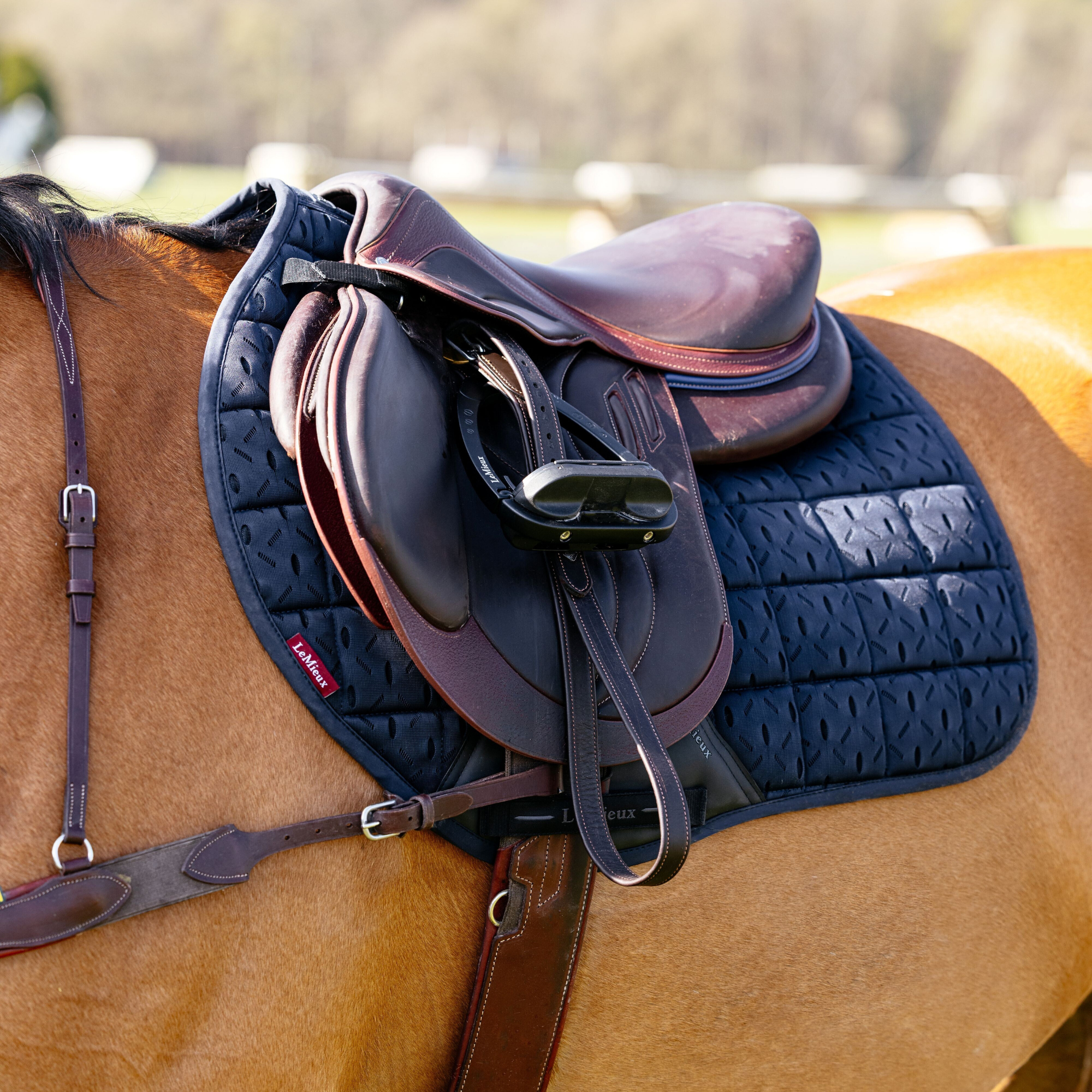 Lifestyle image of LeMieux&