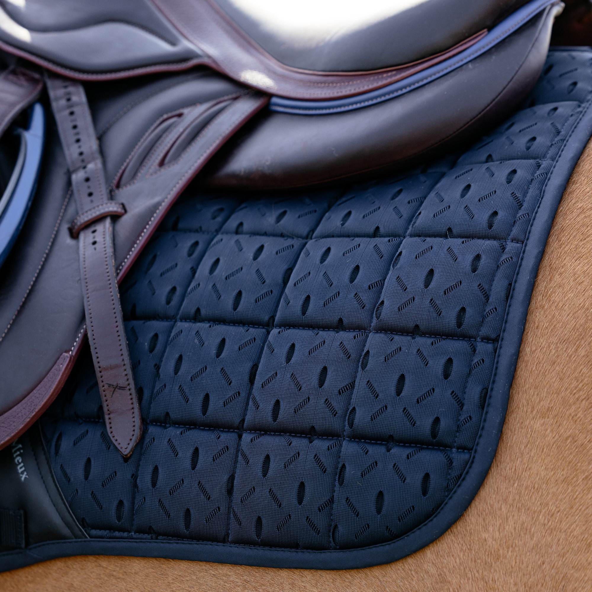 LeMieux 3D Mesh Self-Cool Eurojump Square Pad, Navy