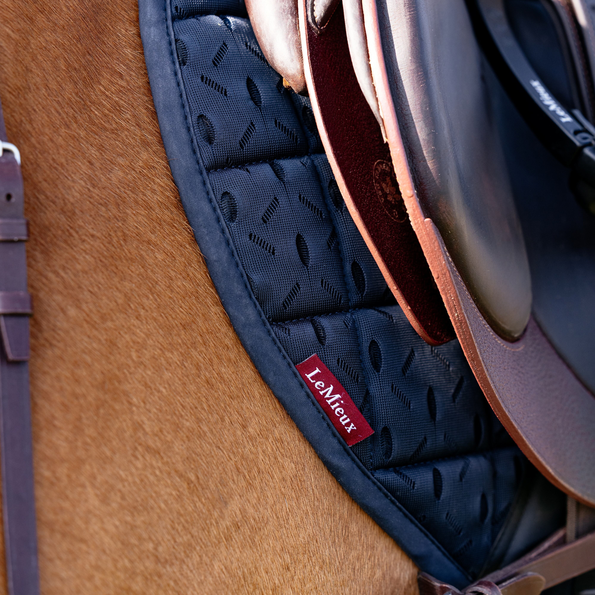 LeMieux 3D Mesh Self-Cool Eurojump Square Pad, Navy