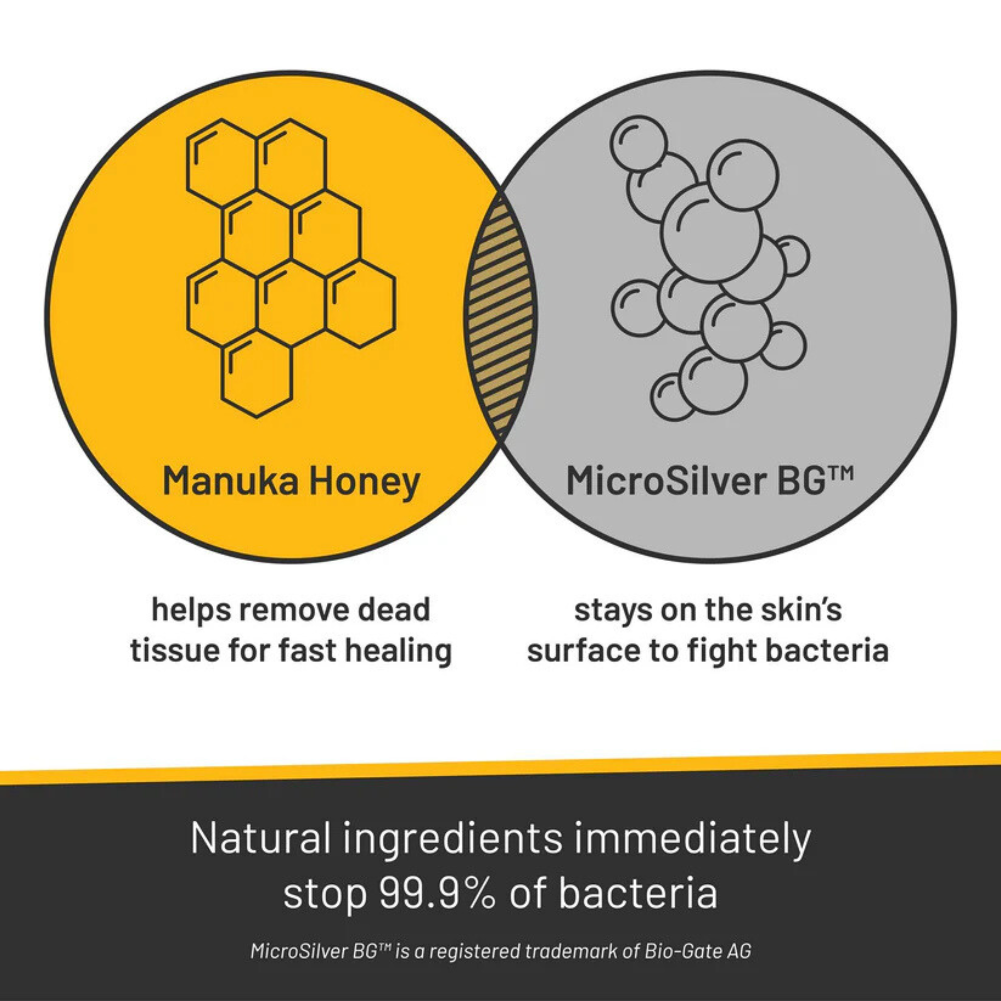 Silver Honey Rapid Wound Repair Spray Gel