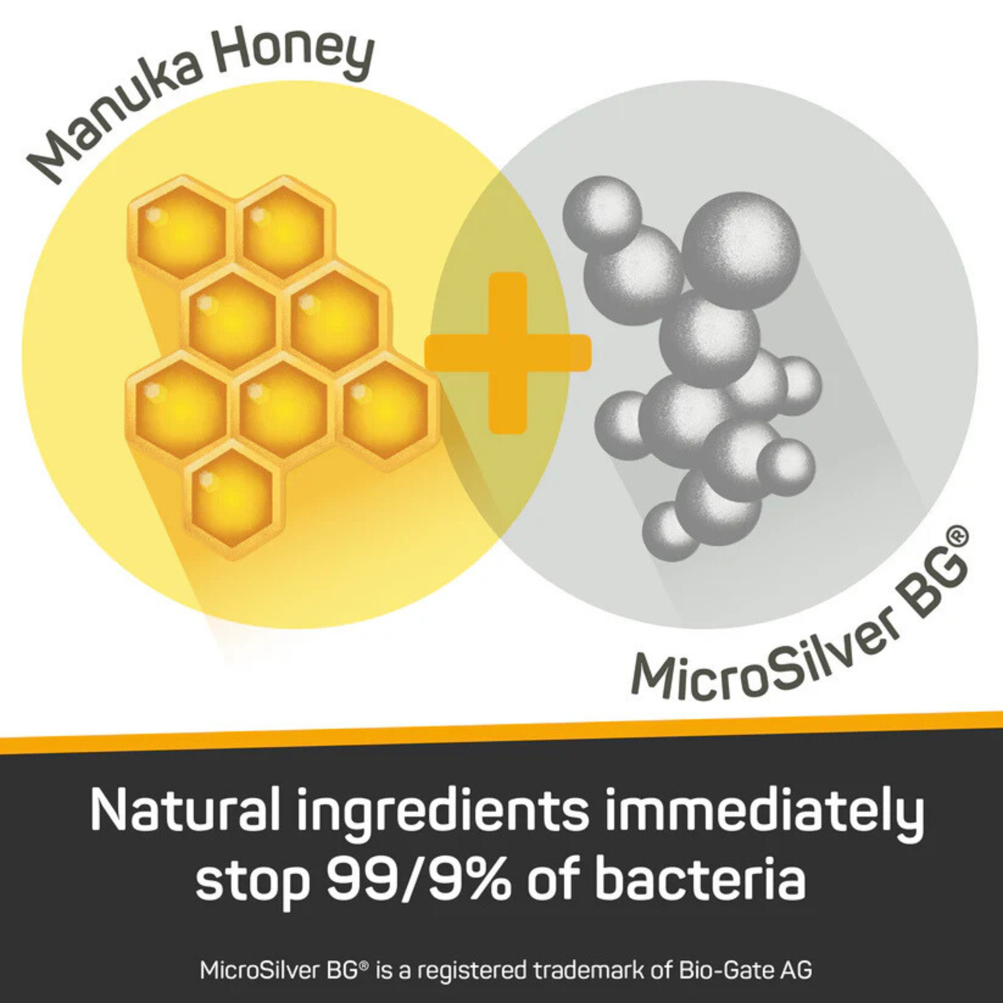 Silver Honey Pet Ear Wipes