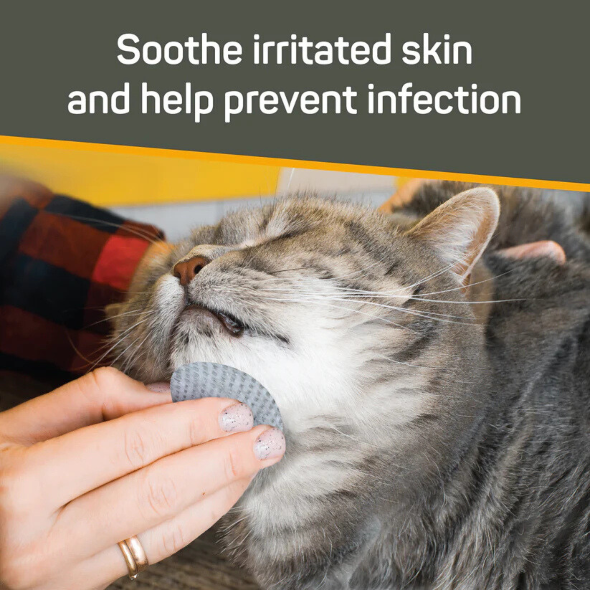 Silver Honey Pet Ear Wipes