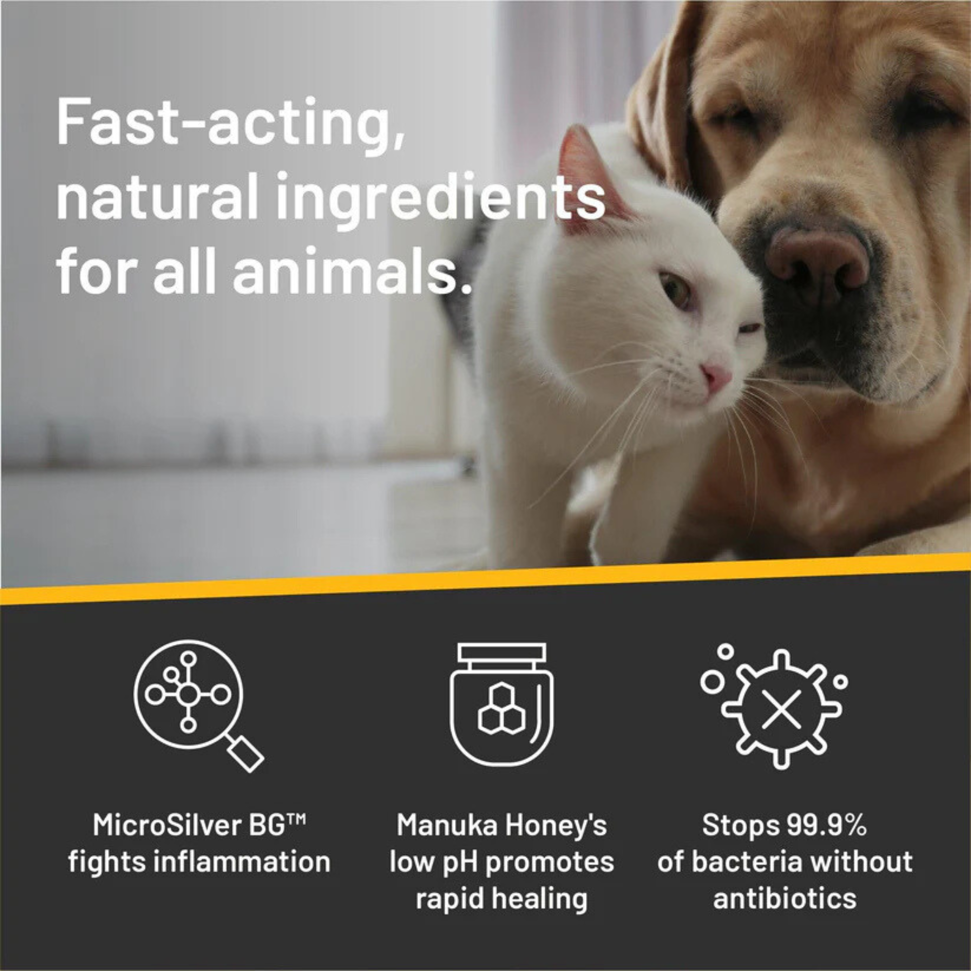 Silver Honey Pet Ear Wipes