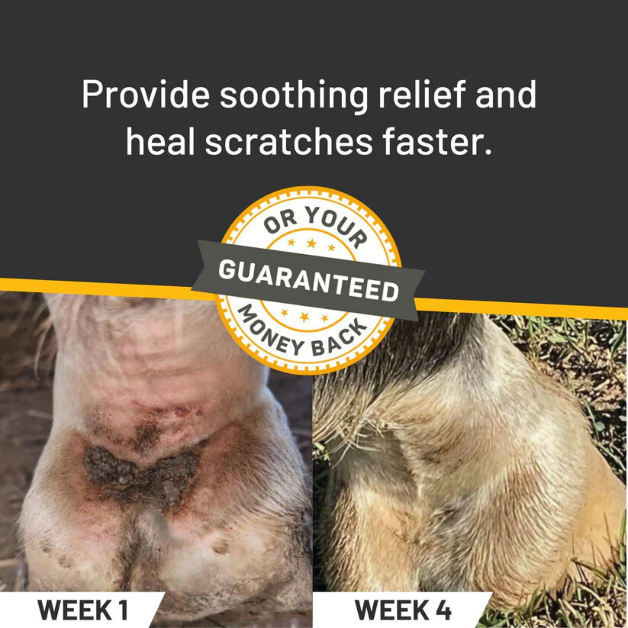 Silver Honey Scratches Spray