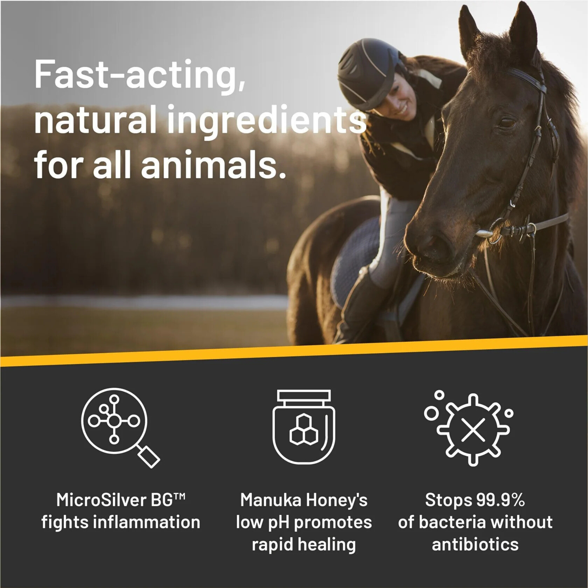 Silver Honey Rapid Wound Repair Spray Gel