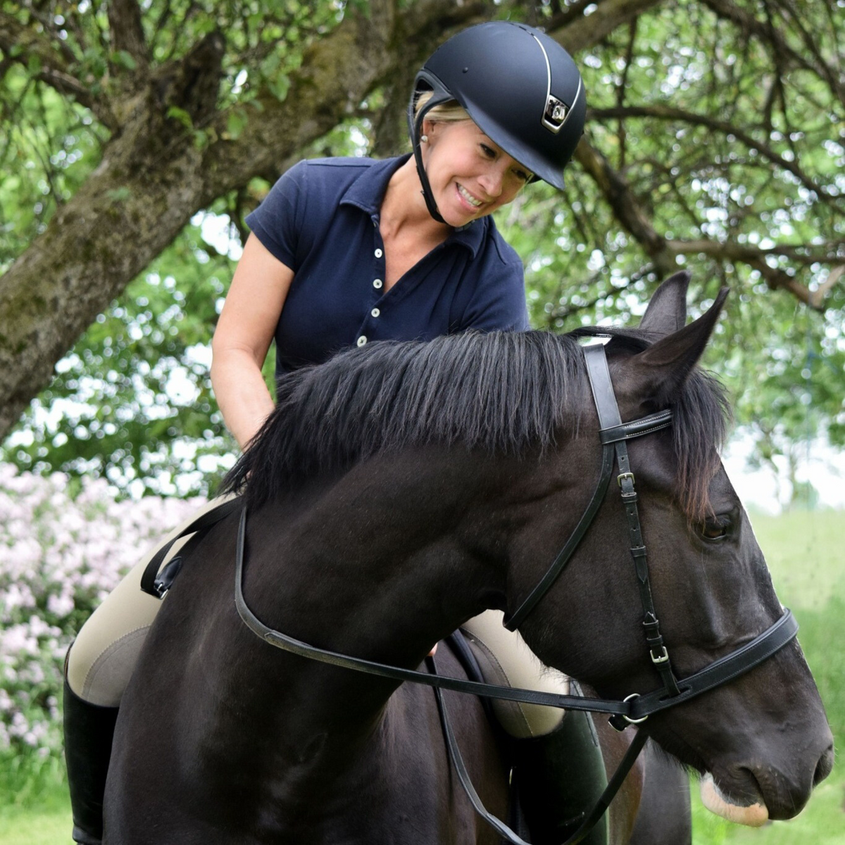 ThinLine EZ Harmony Bitless Noseband Bridle Converter