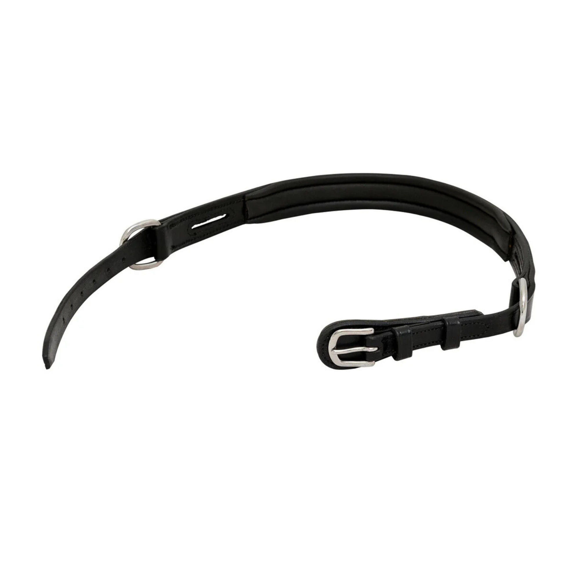 ThinLine EZ Harmony Bitless Noseband Bridle Converter