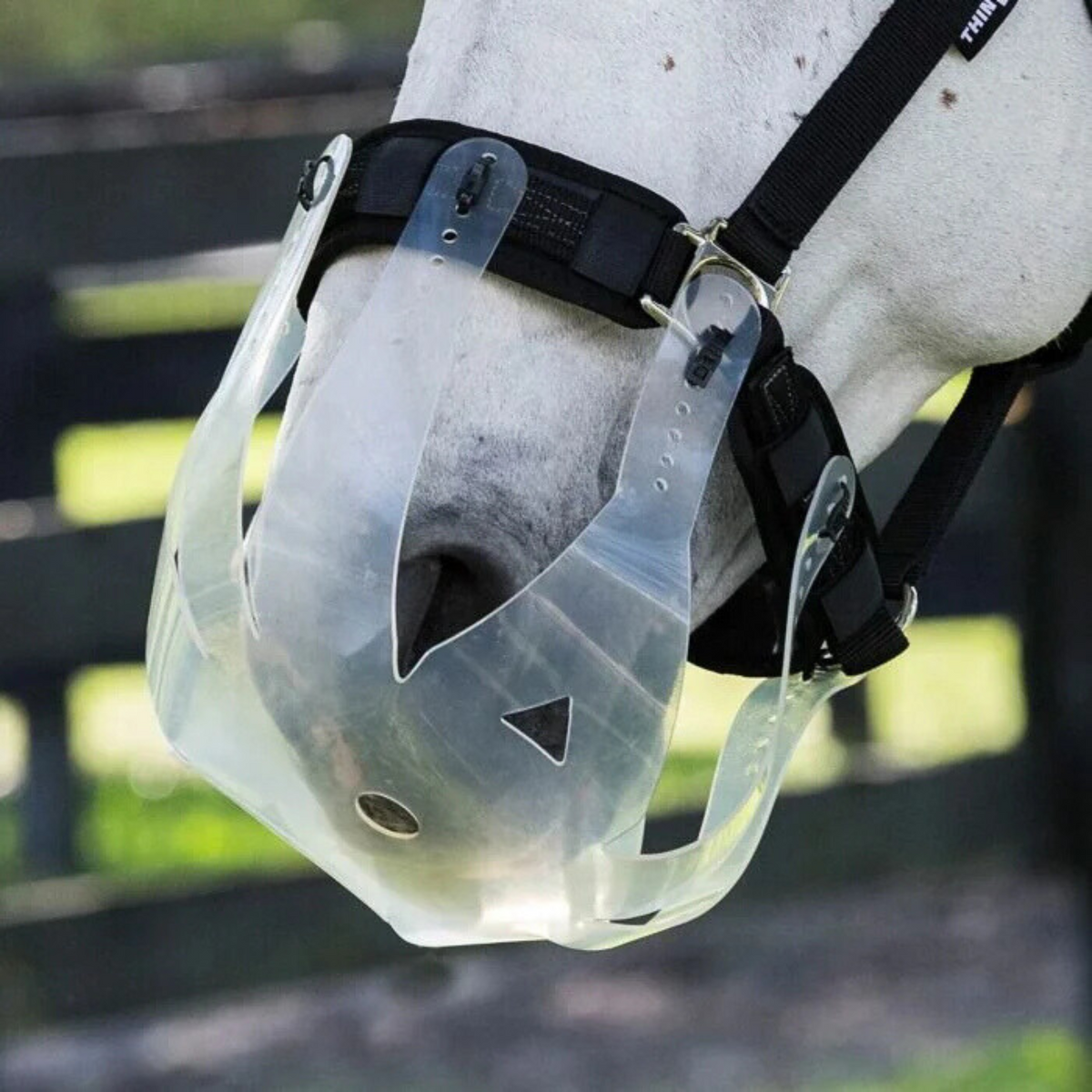 ThinLine Flexible Filly Slow Feed Grazing Muzzle, 2.5 cm Opening