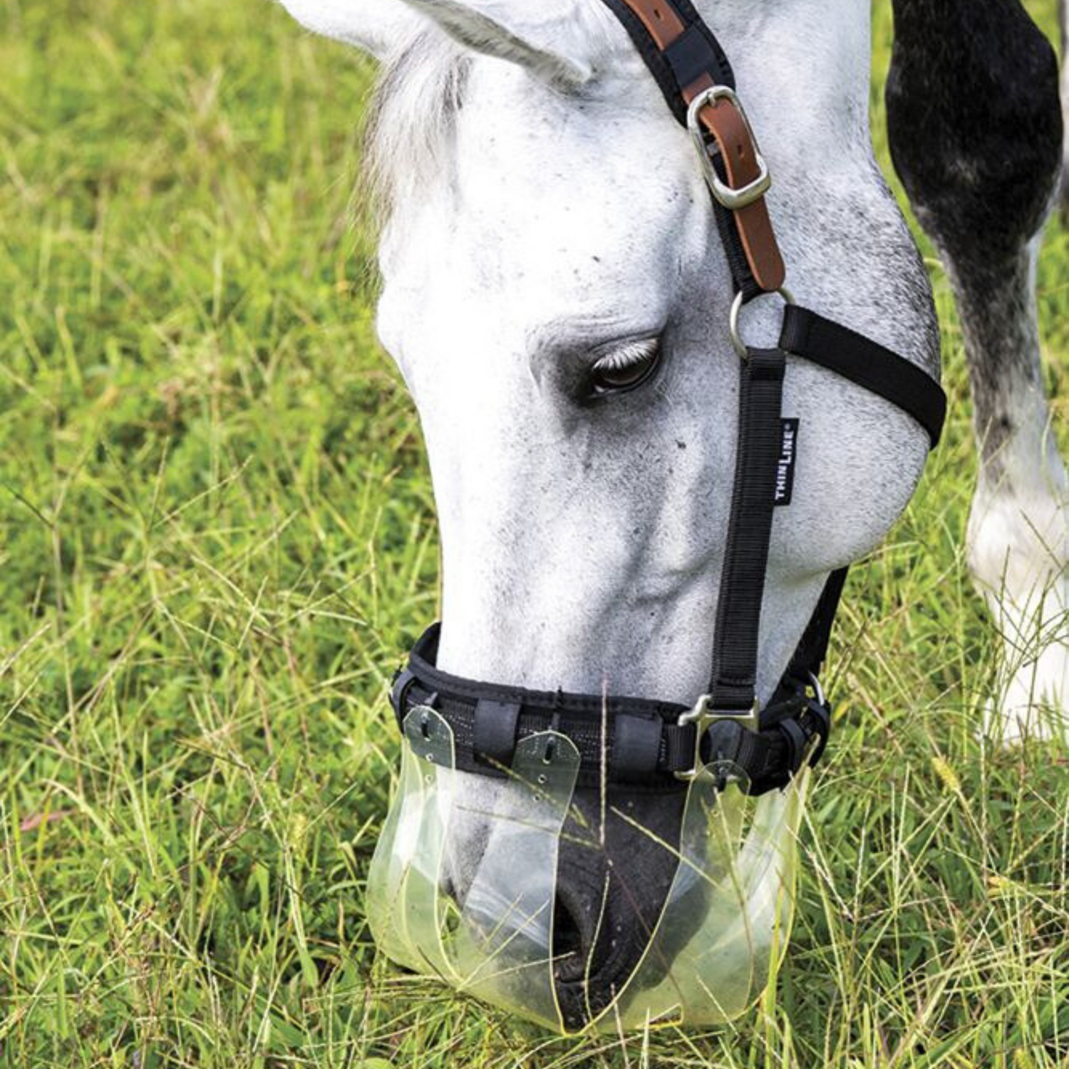ThinLine Flexible Filly Slow Feed Grazing Muzzle,  2.5 cm Opening