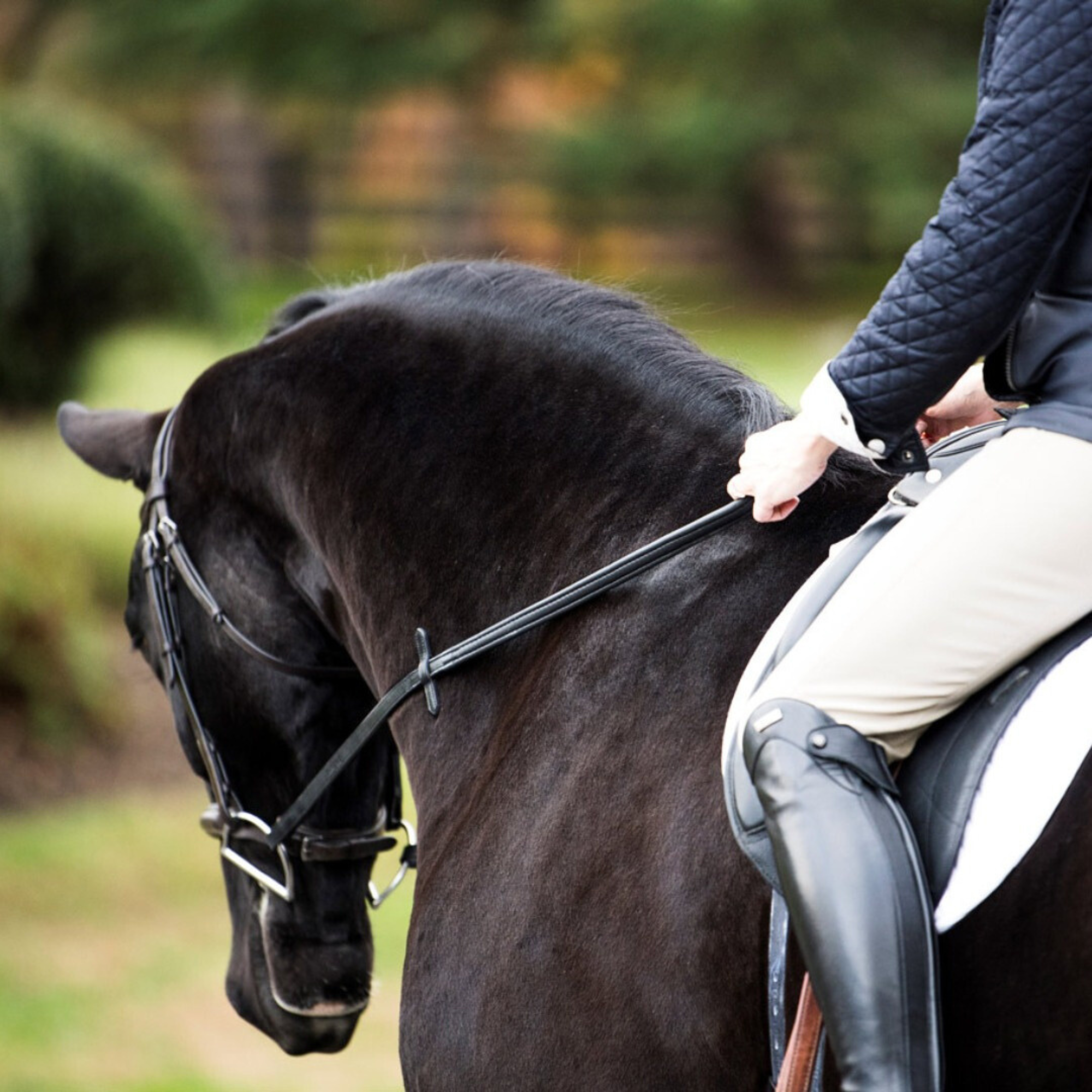 Thinline Reins 54" with Hook Stud Ends