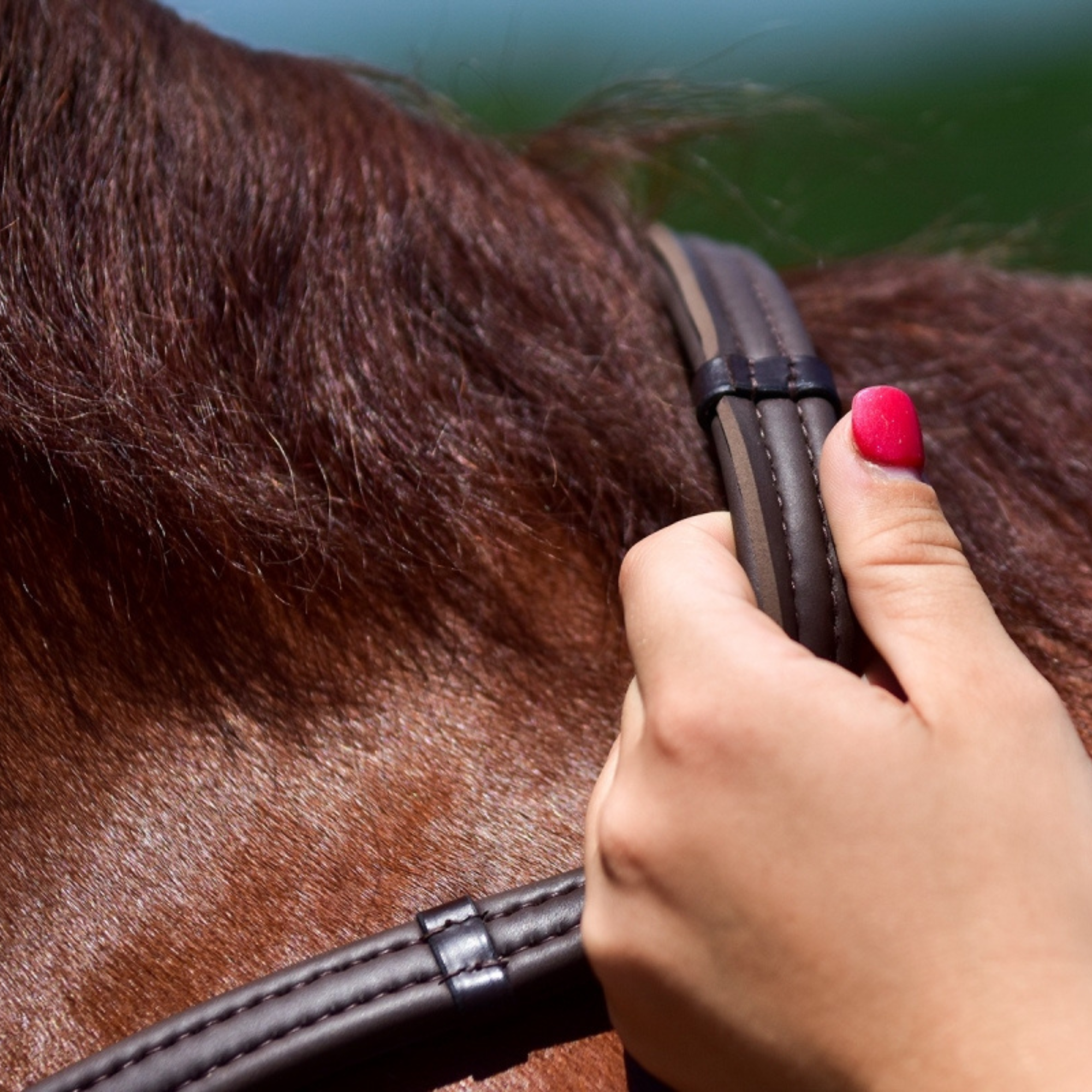 Thinline Reins 54" with Hook Studs & Hand Stops