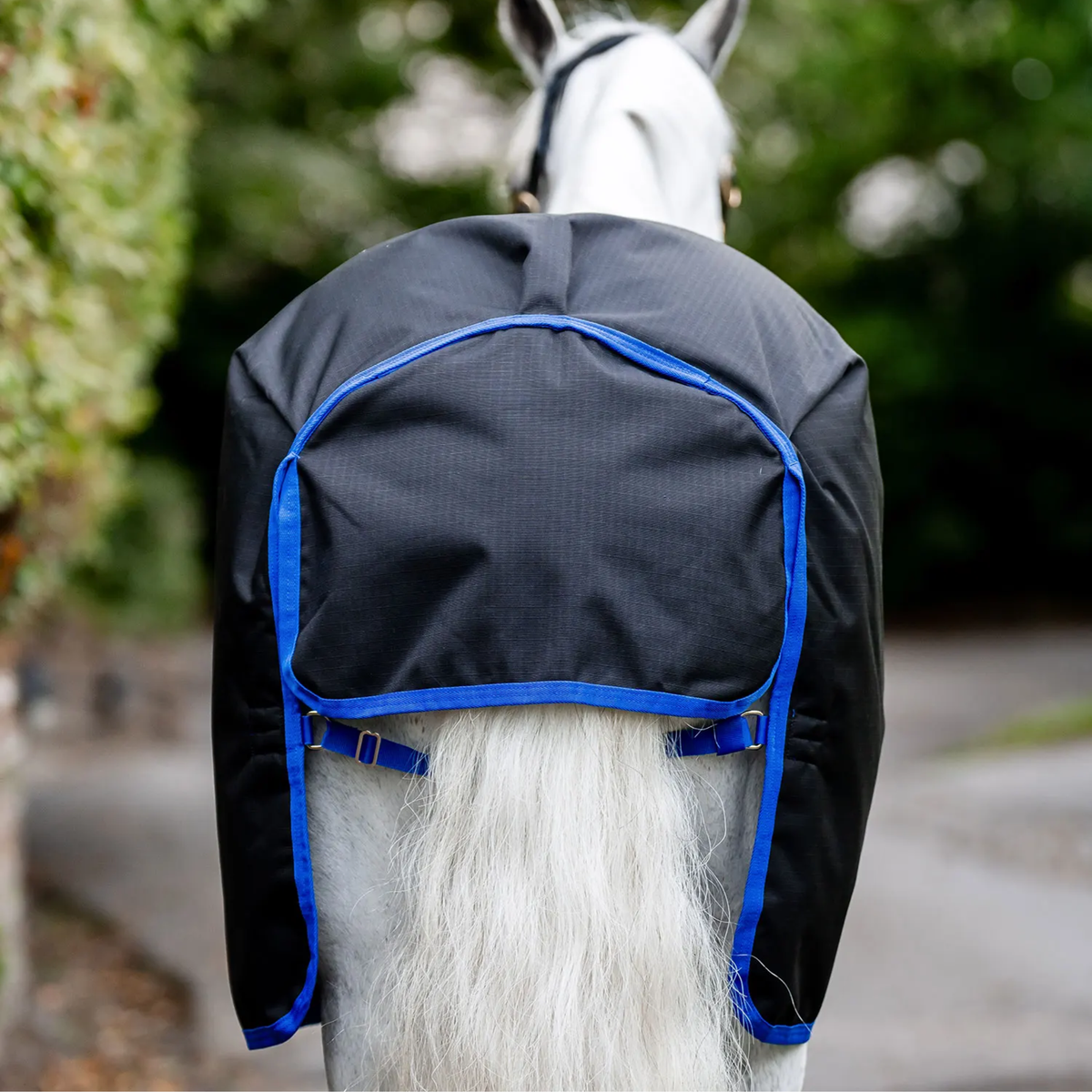 Amigo Ripstop 900D Pony Turnout Sheet, Black/Classic Blue, 0g