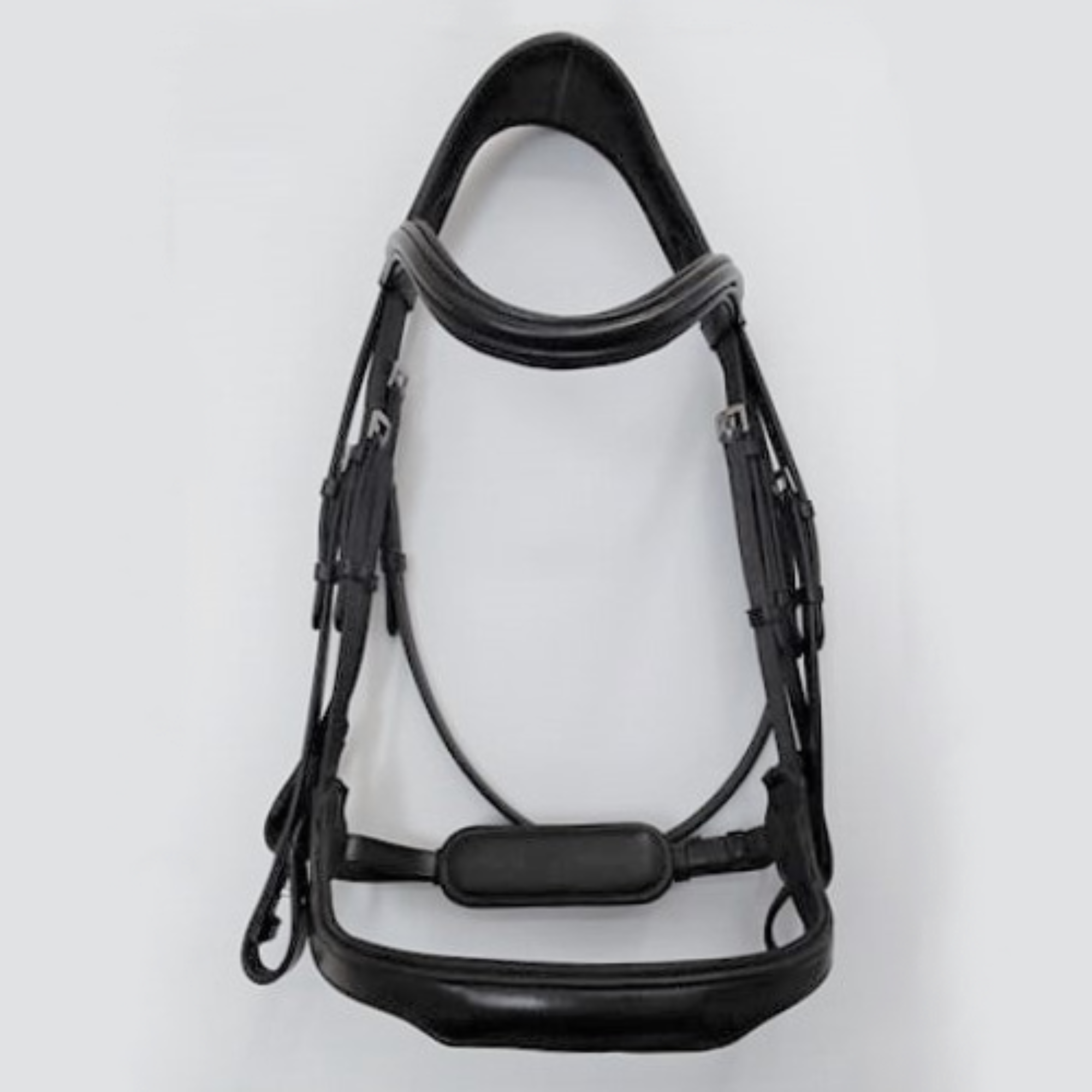 Red Barn Arena Weymouth Bridle