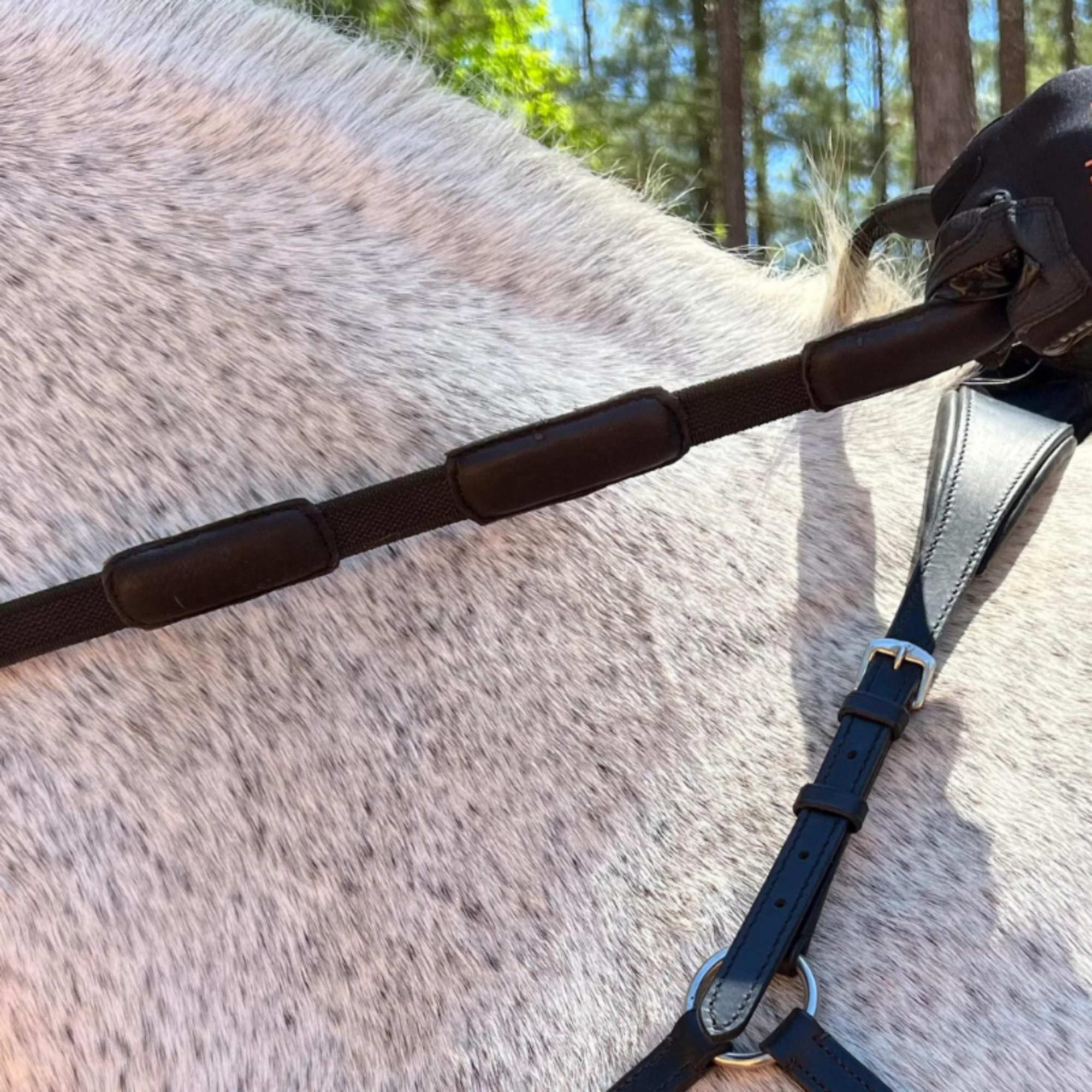 A close-up image of a grey horse wearing Correct Connect reins, with a focus on the padded reins and the horse&